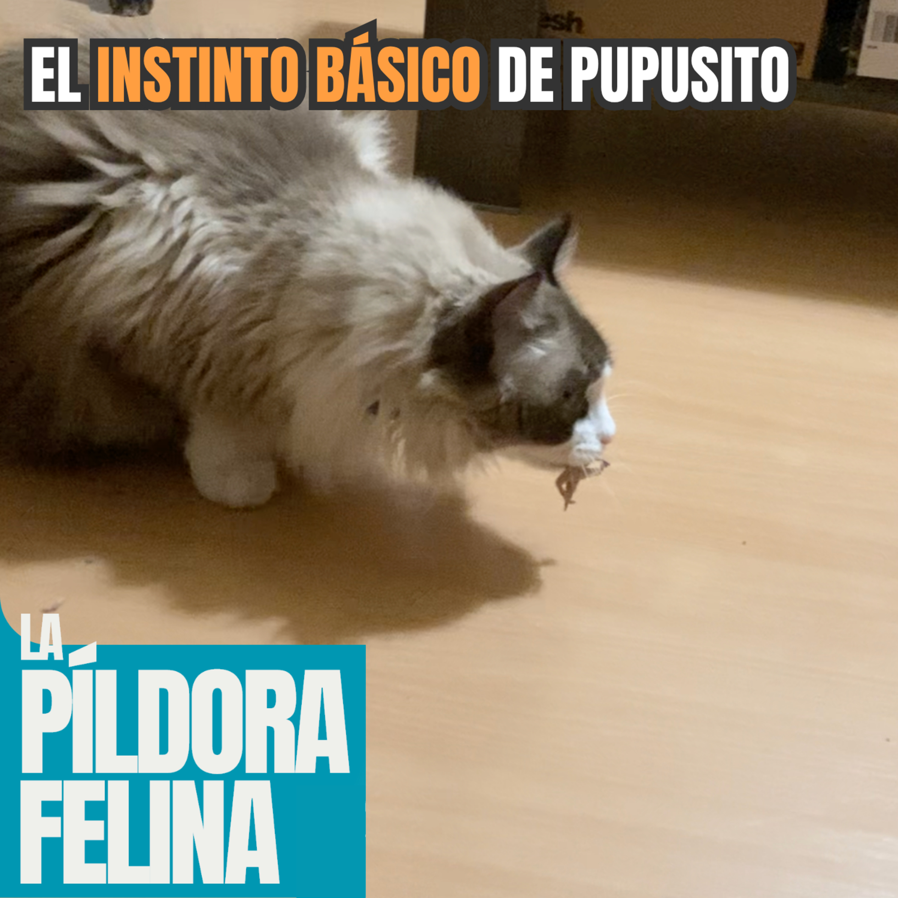 Imagen del episodio 530. El INSTINTO BÁSICO de Pupusito