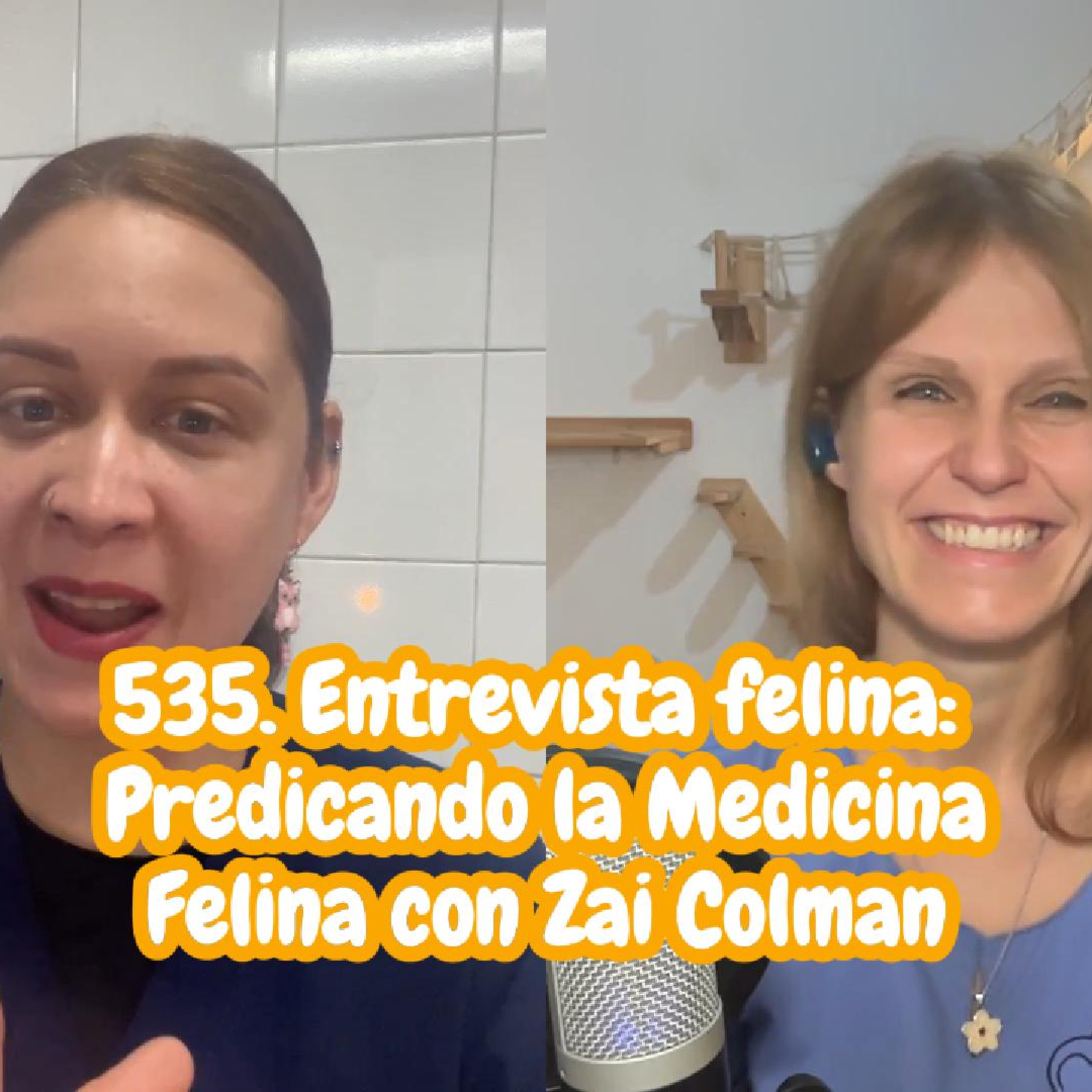 Imagen del episodio 535. Entrevista felina: Predicando la Medicina Felina con Zai Colman de Cat Town y Fauna Town