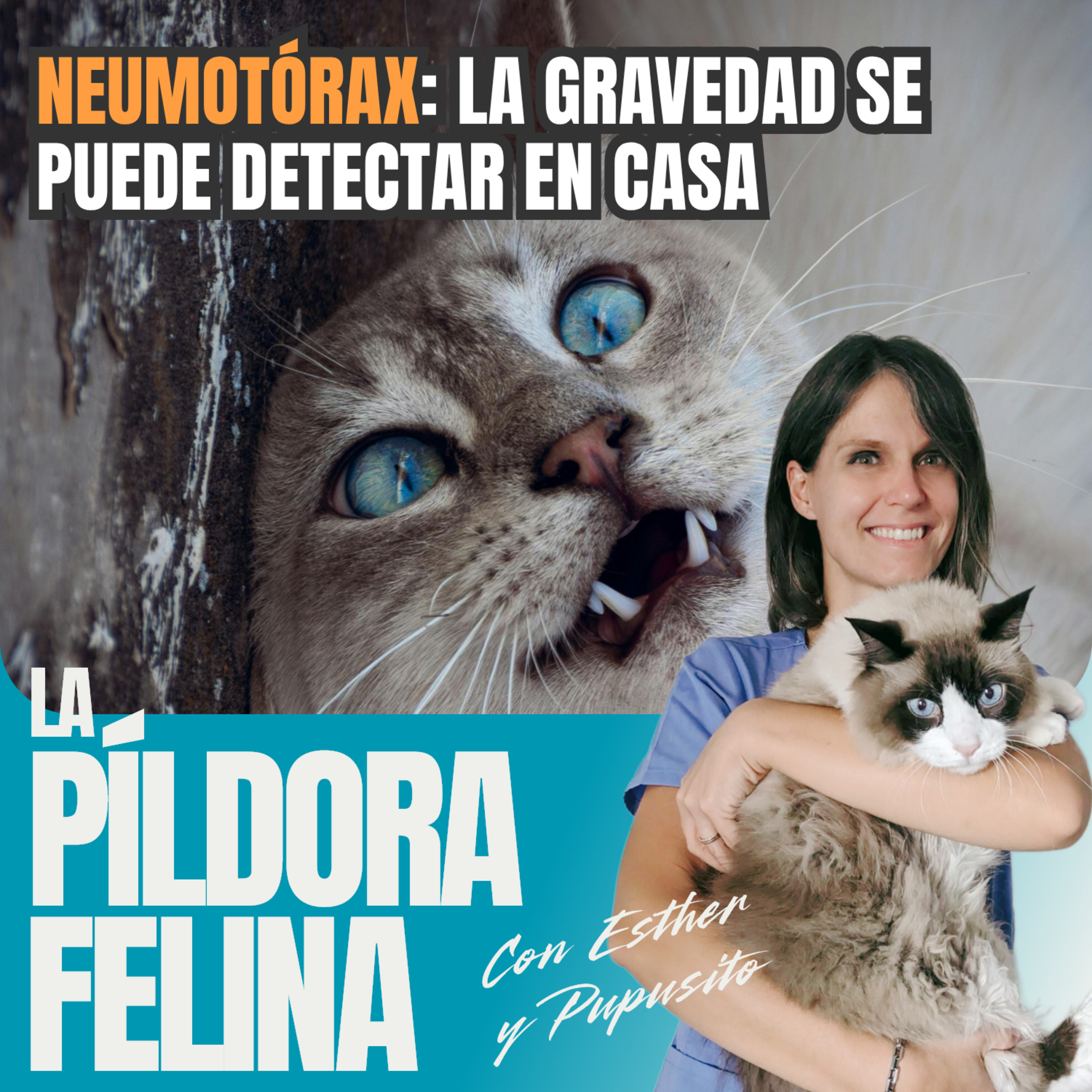 Imagen del episodio 536. NEUMOTÓRAX: la gravedad se puede detectar en casa