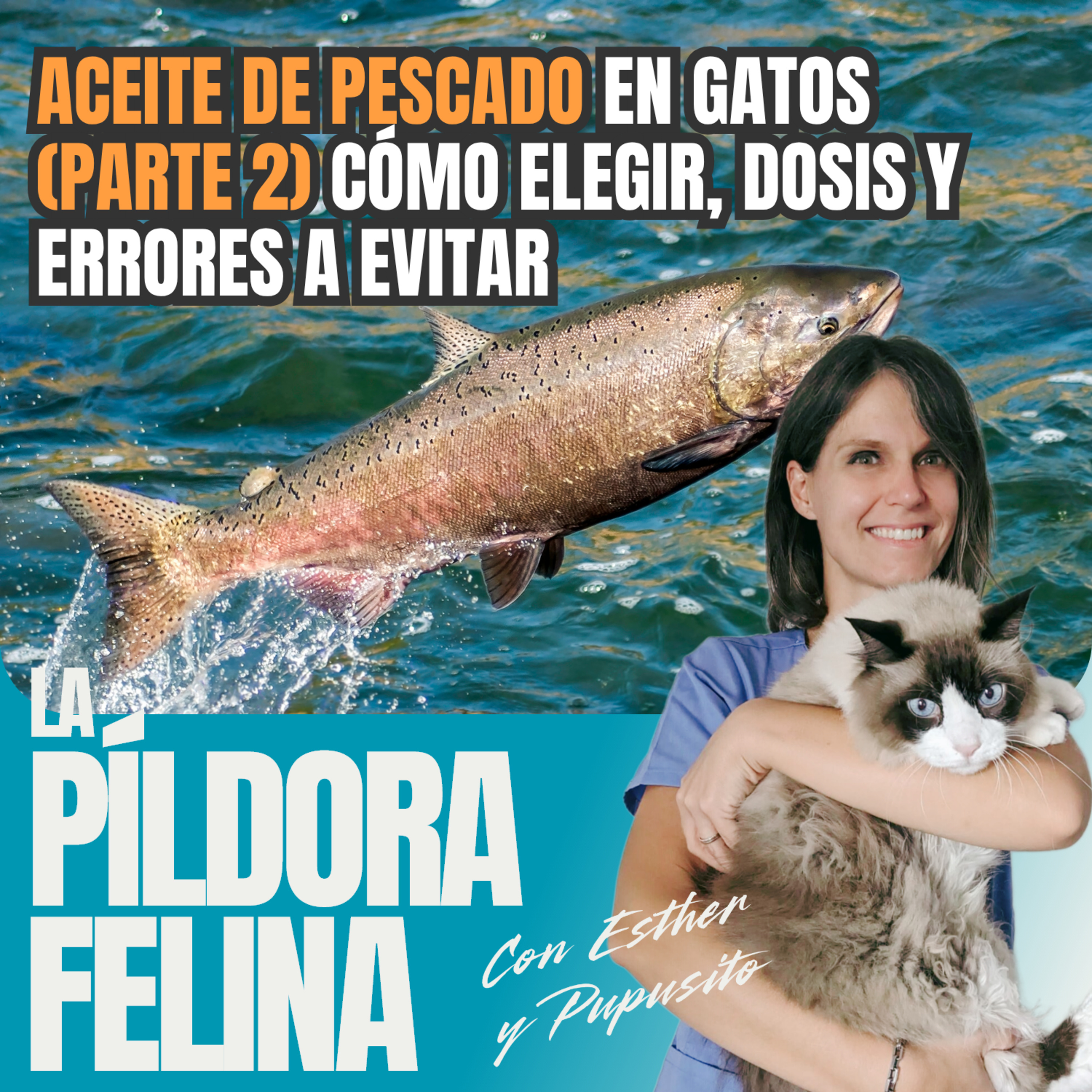 Imagen del episodio 538. ACEITE DE PESCADO en gatos (PARTE 2) Cómo elegir, dosis y errores a evitar