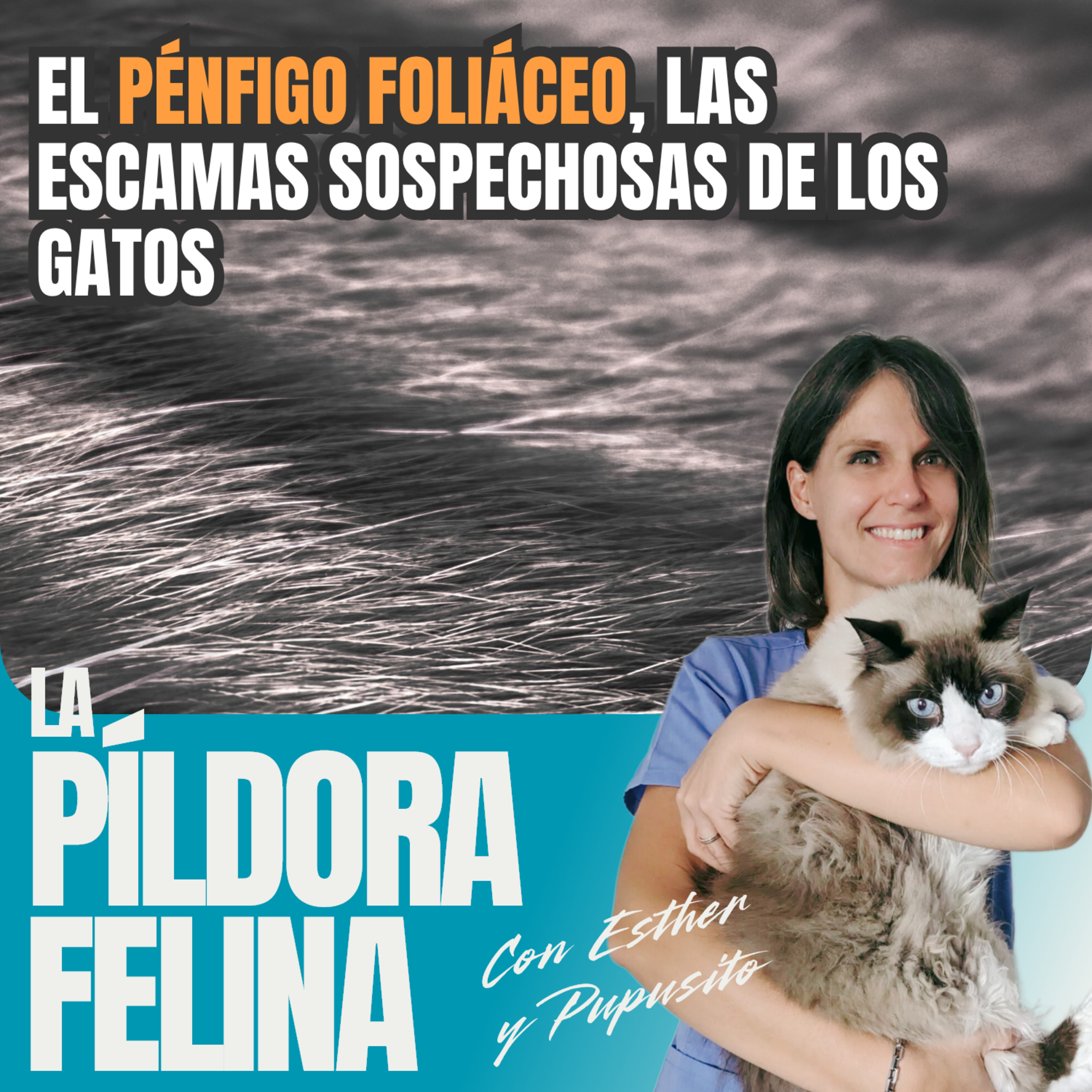 Imagen del episodio 541. El PÉNFIGO FOLIÁCEO, las escamas sospechosas de los gatos