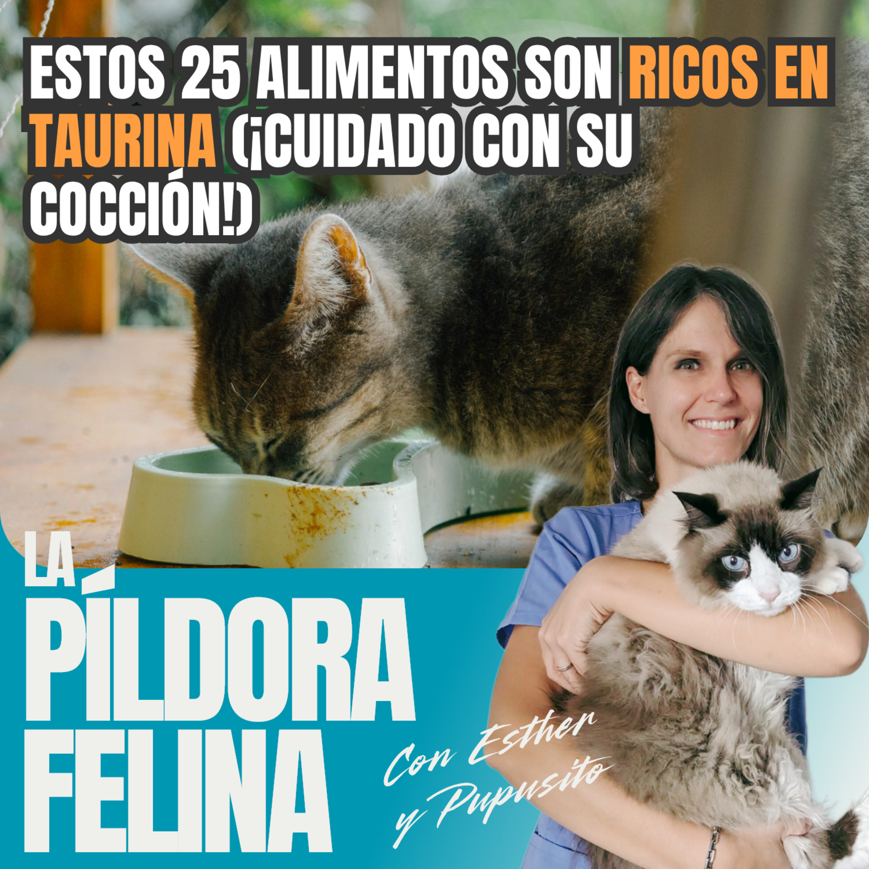 Imagen del episodio 543. Estos 25 alimentos son RICOS EN TAURINA (¡cuidado con su cocción!)