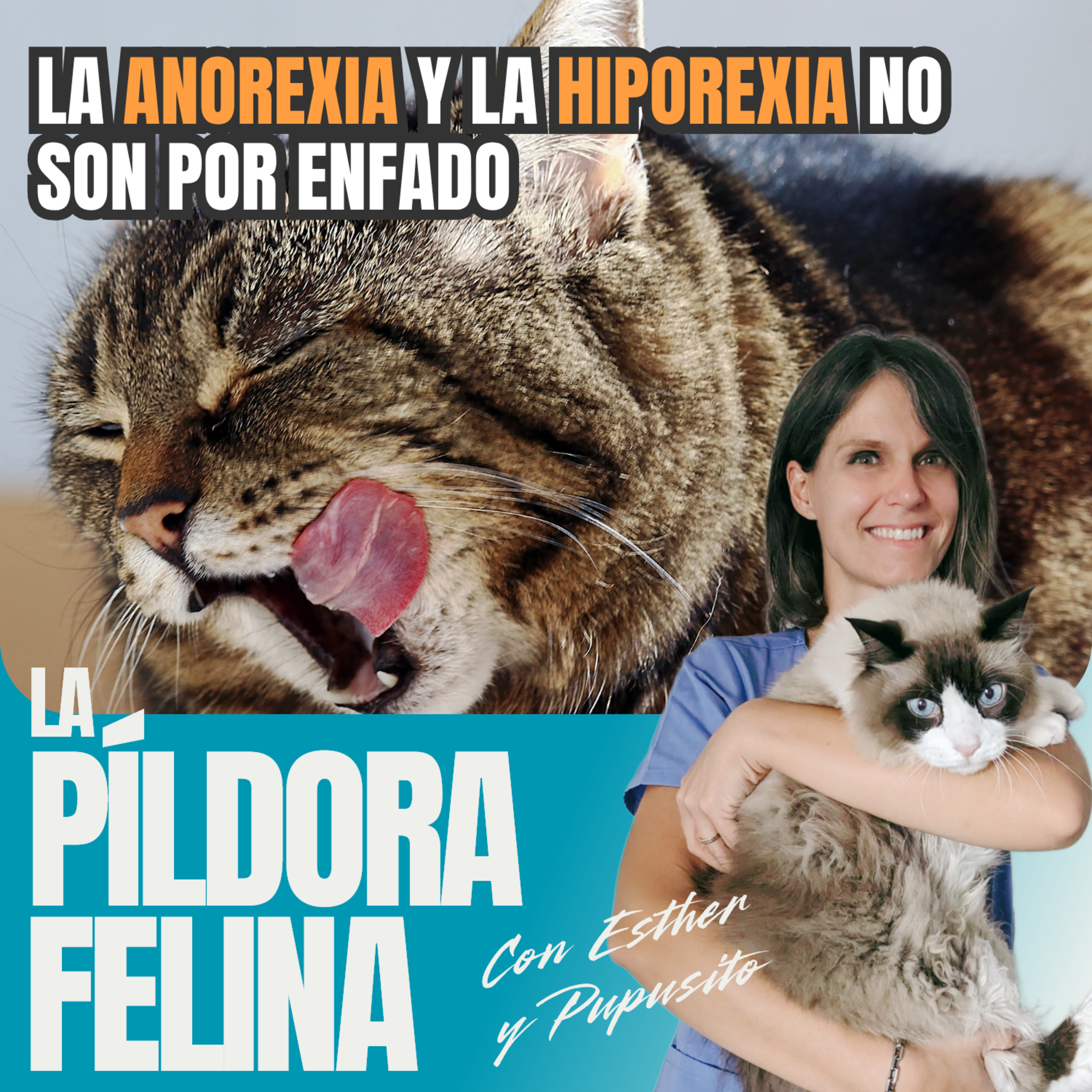 Imagen del episodio 551. La ANOREXIA y la HIPOREXIA no son por enfado