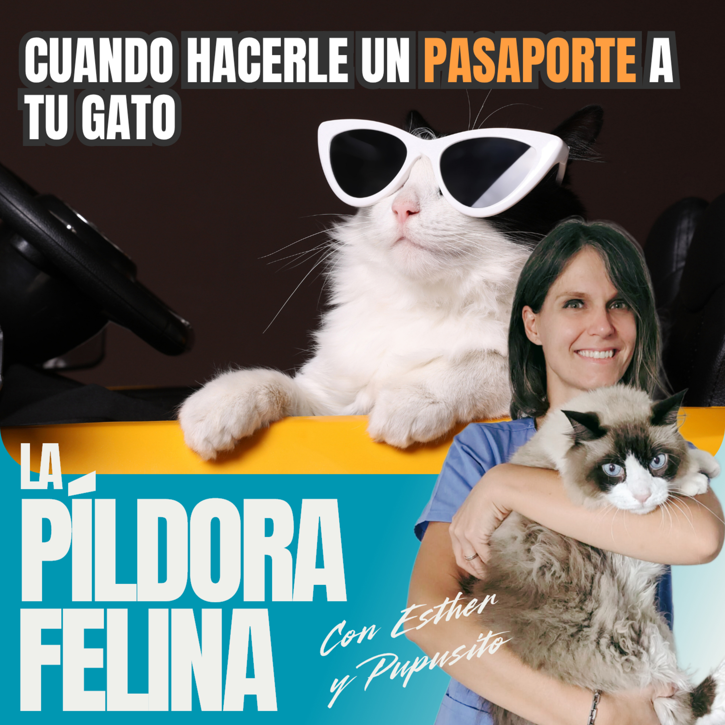 Imagen del episodio 552. Cuando hacerle un PASAPORTE a tu gato