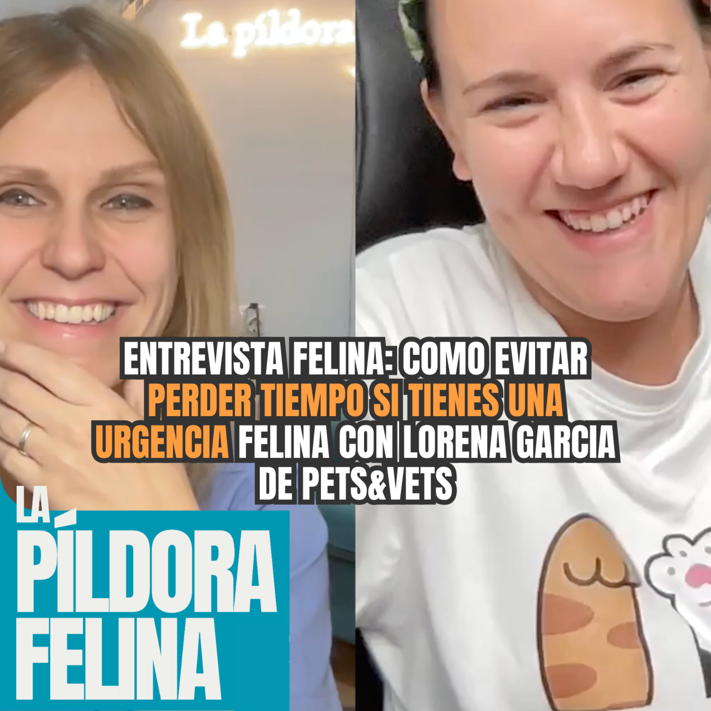 Imagen del episodio 555. Entrevista Felina: Como EVITAR PERDER TIEMPO si tienes una Urgencia Felina con Lorena Garcia de Pets&Vets