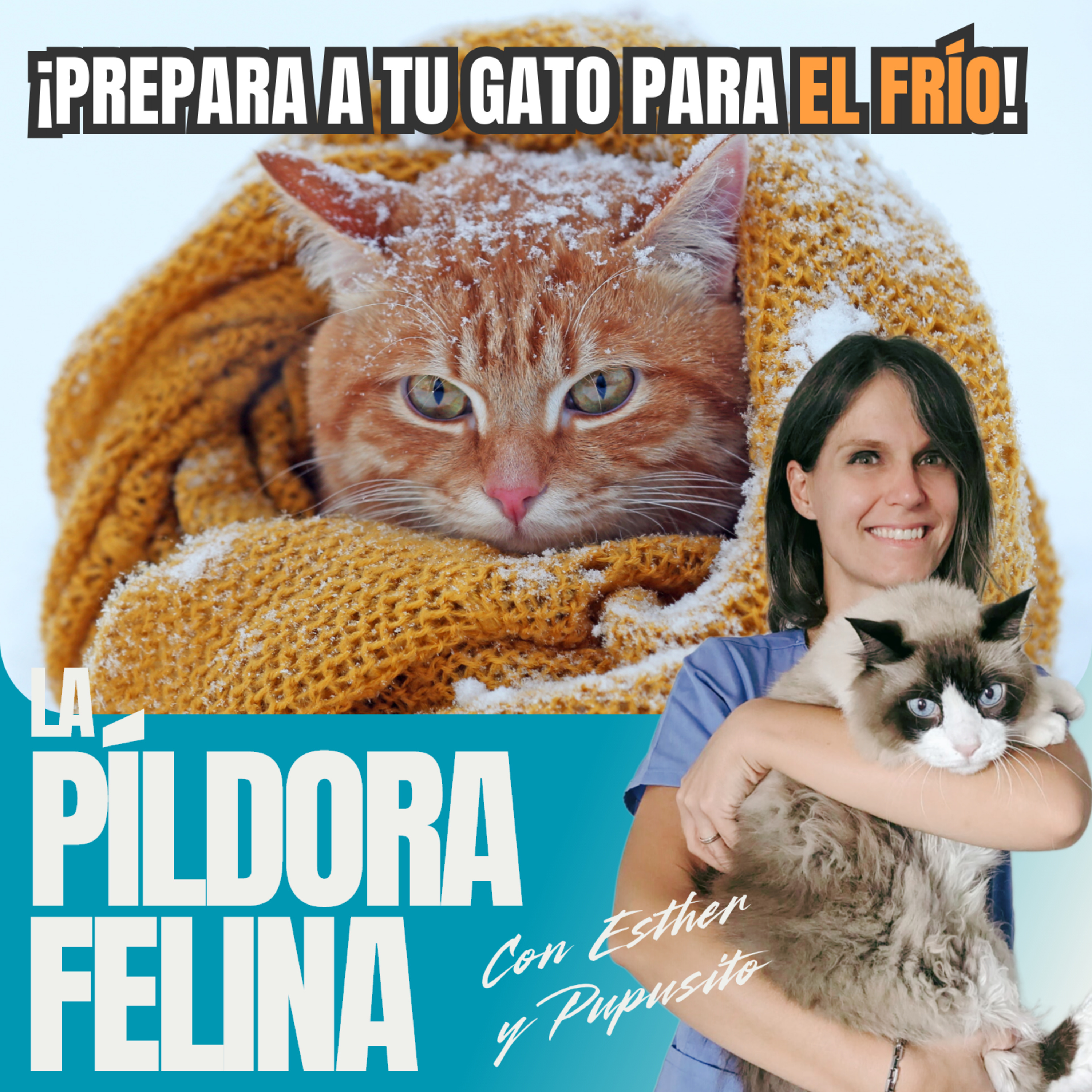 Imagen del episodio 557. ¡Prepara a tu gato para el FRÍO!
