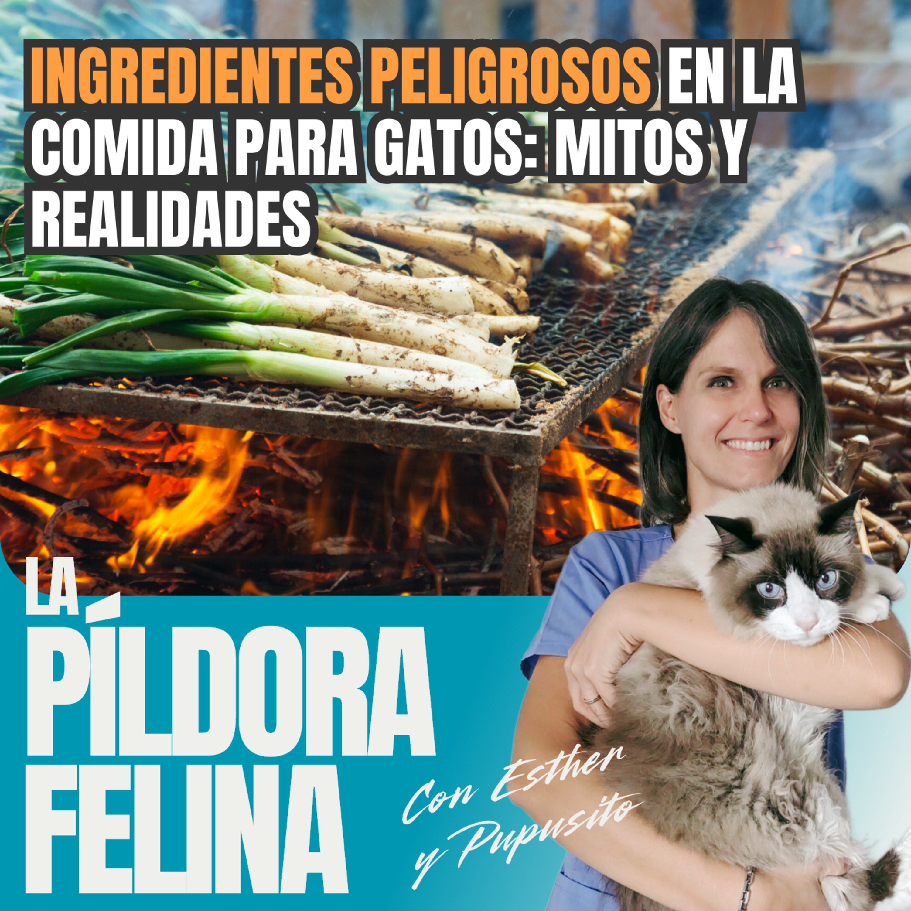 Imagen del episodio 558. INGREDIENTES PELIGROSOS en la comida para gatos: mitos y realidades