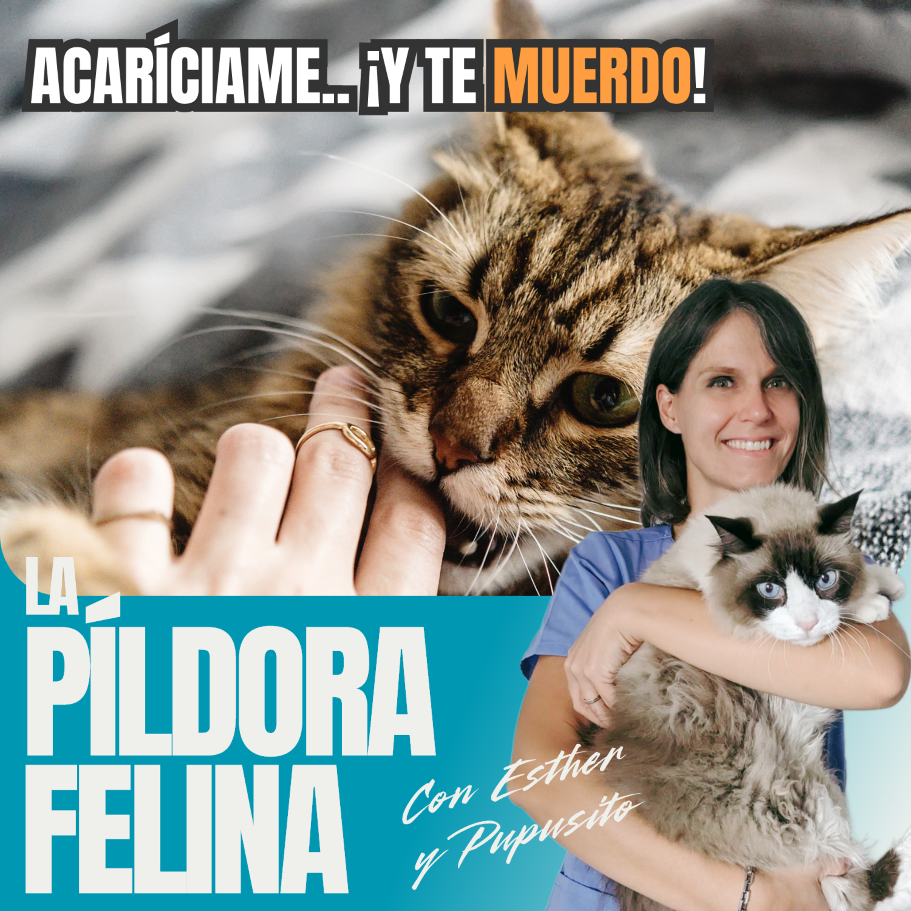 Imagen del episodio 564. Acaríciame.. ¡y te MUERDO!