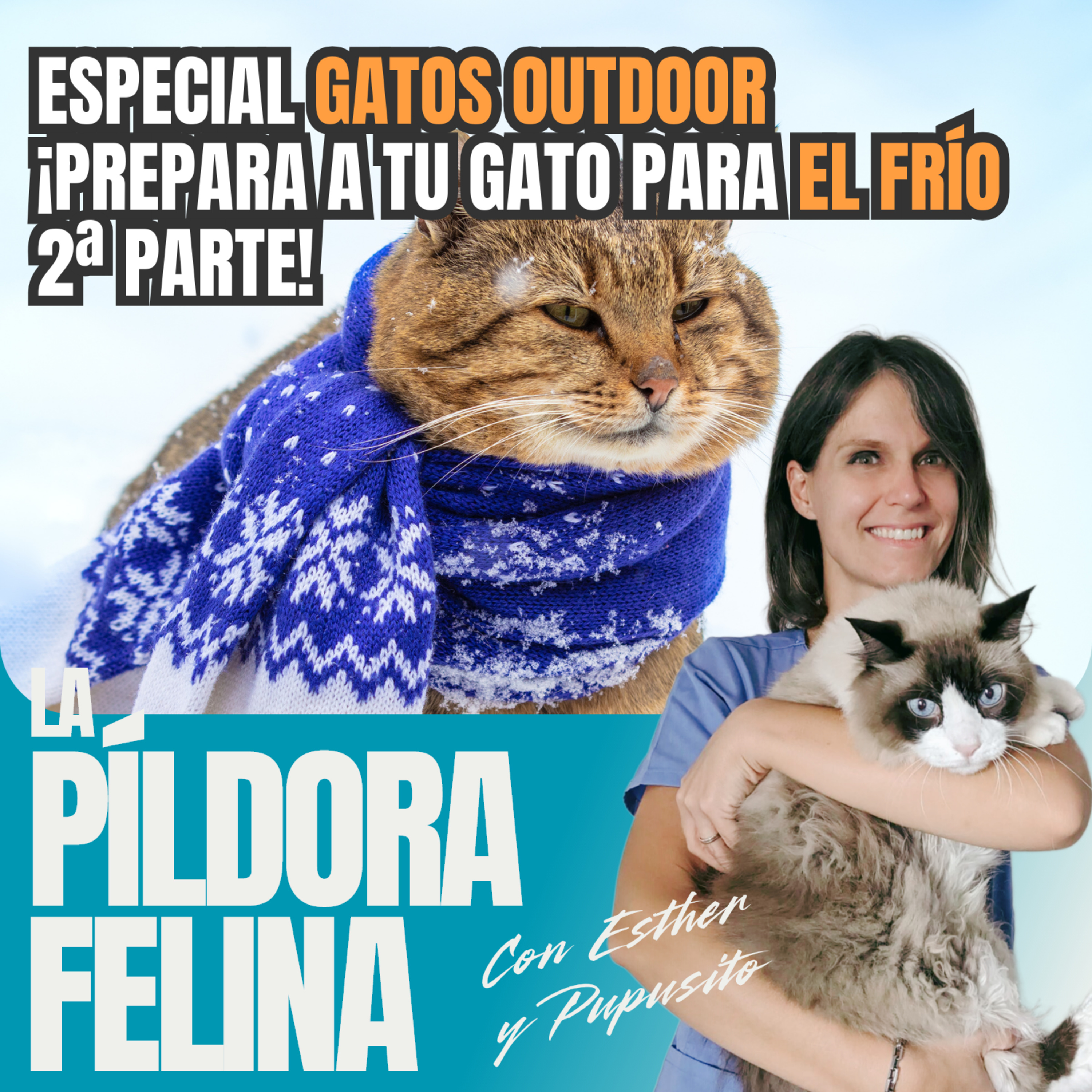 Imagen del episodio 567. Especial gatos OUTDOOR ¡Prepara a tu gato para el frío 2ª parte!
