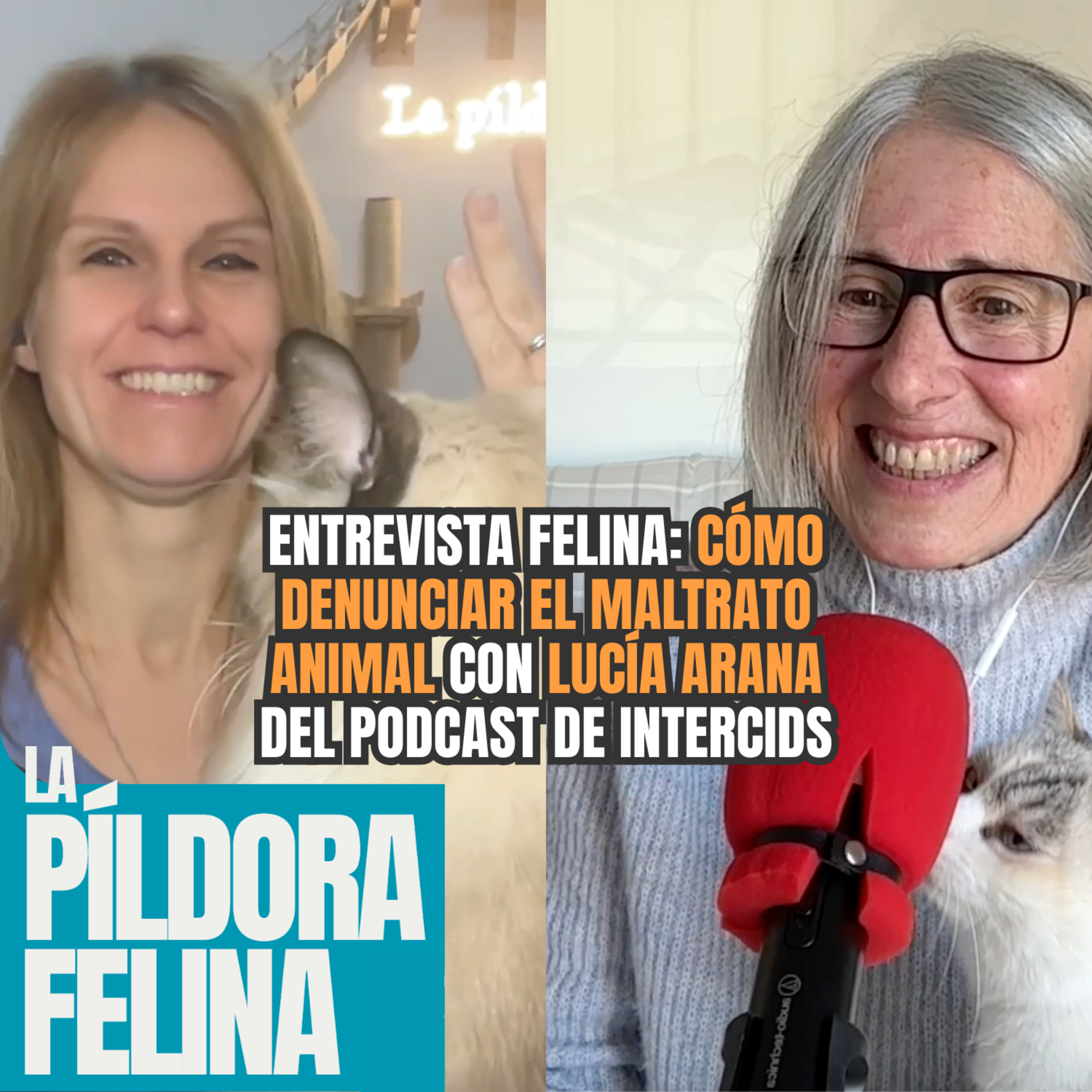 Imagen del episodio 575. Entrevista Felina: CÓMO DENUNCIAR EL MALTRATO ANIMAL con LUCÍA ARANA del podcast de Intercids