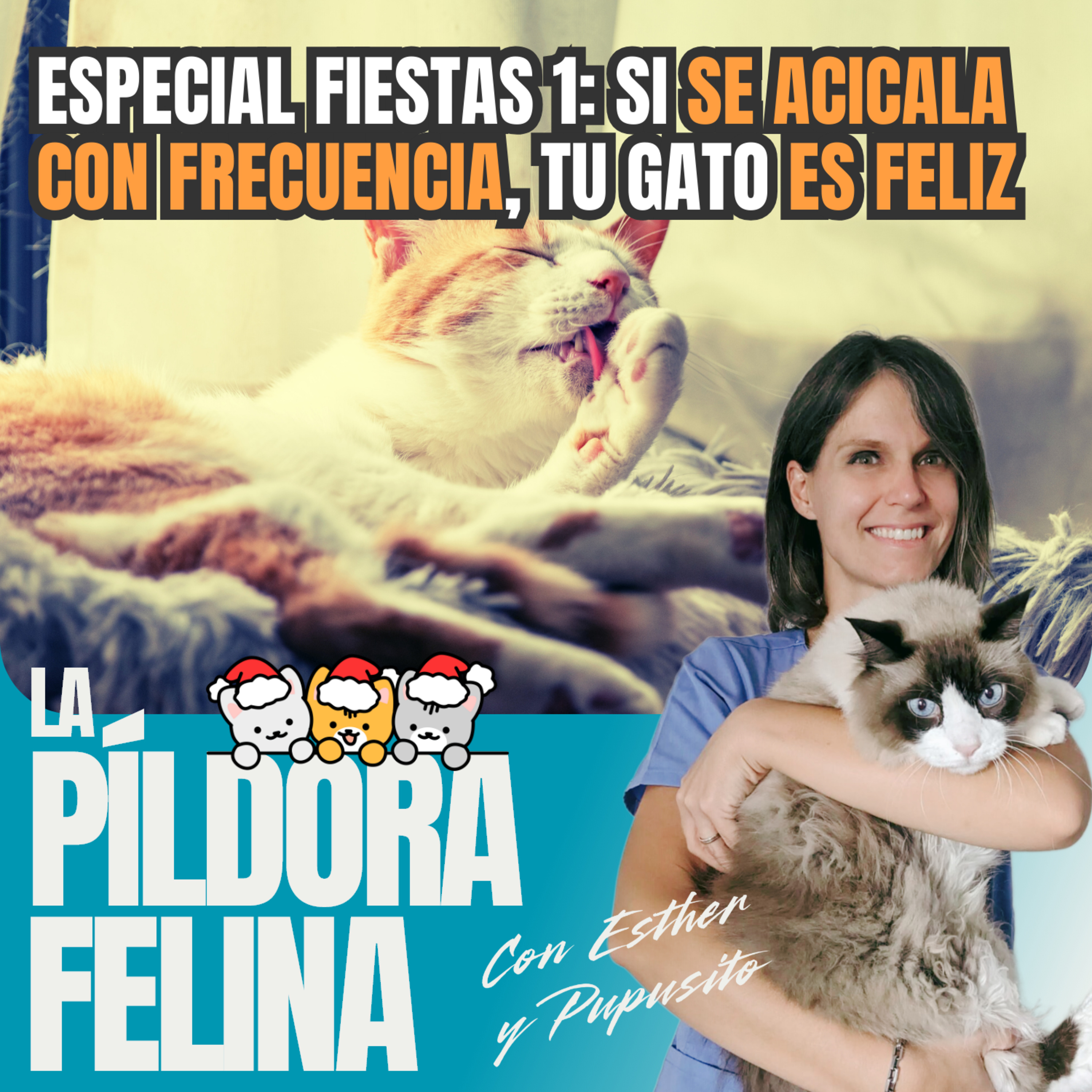Imagen del episodio 576. Especial fiestas 1: Si se ACICALA CON FRECUENCIA, tu gato ES FELIZ