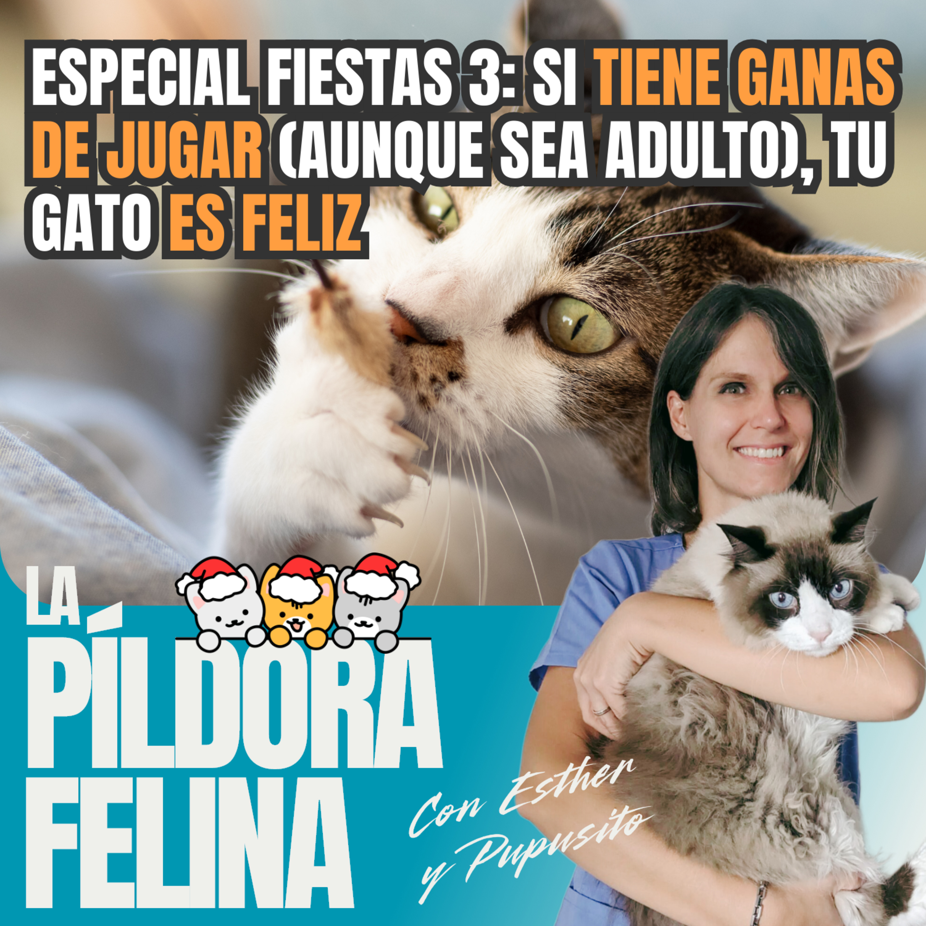 Imagen del episodio 578. Especial fiestas 3: Si TIENE GANAS DE JUGAR (aunque sea adulto), tu gato ES FELIZ
