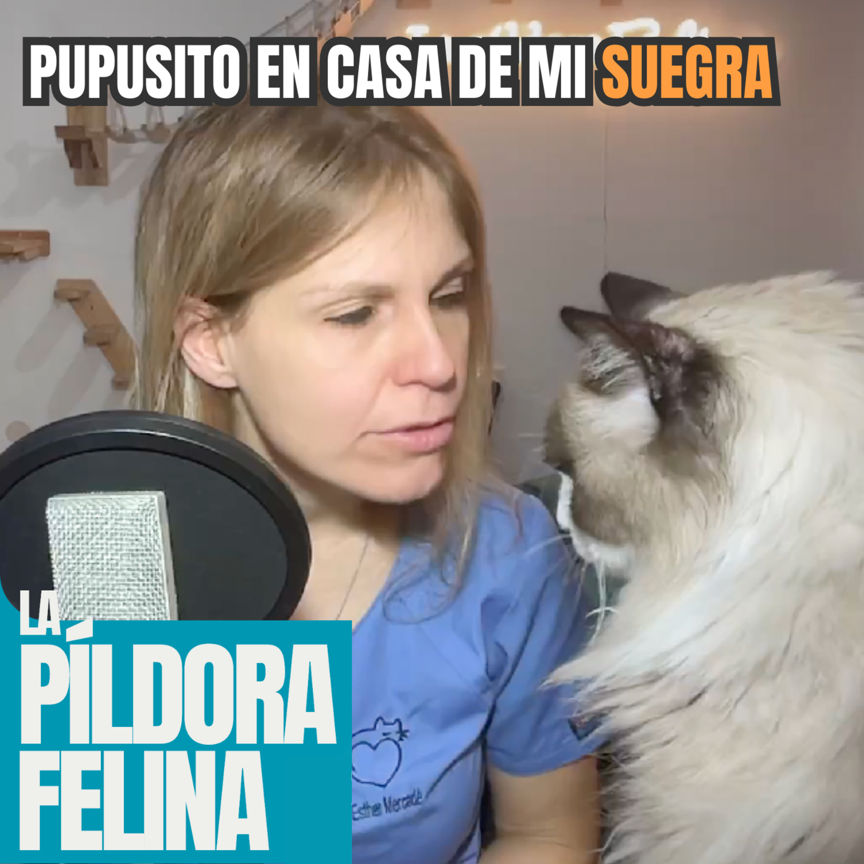 Imagen del episodio 580. PUPUSITO en casa de mi SUEGRA