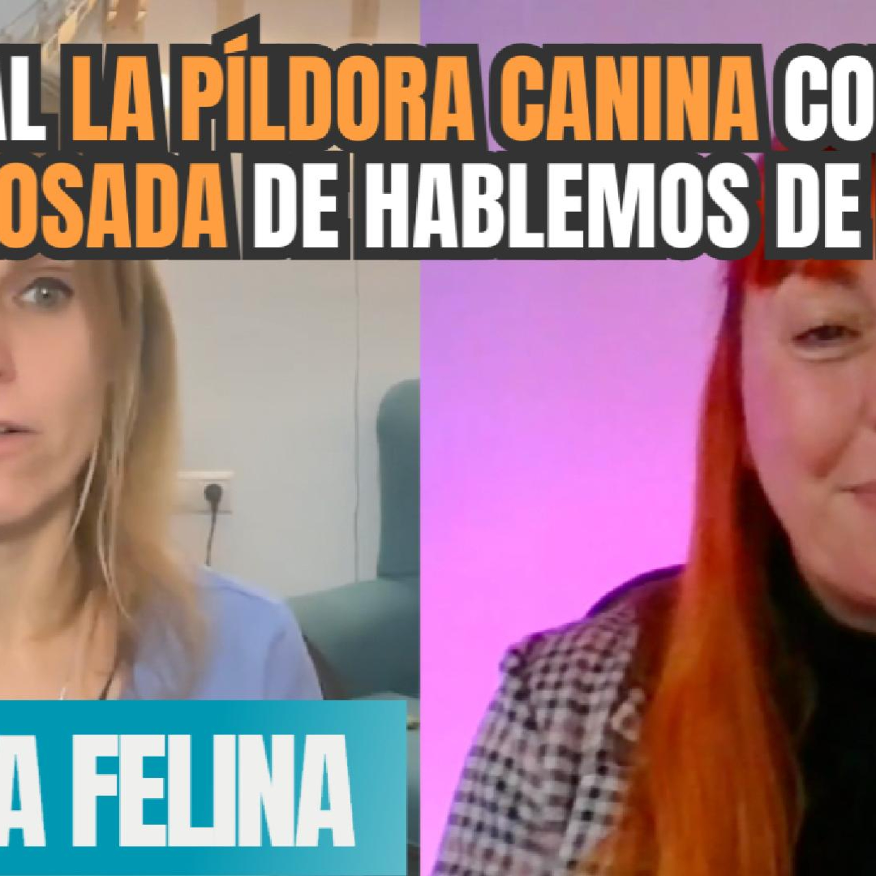 Imagen del episodio Especial La Píldora CANINA con Sonia Losada de Hablemos de Perros