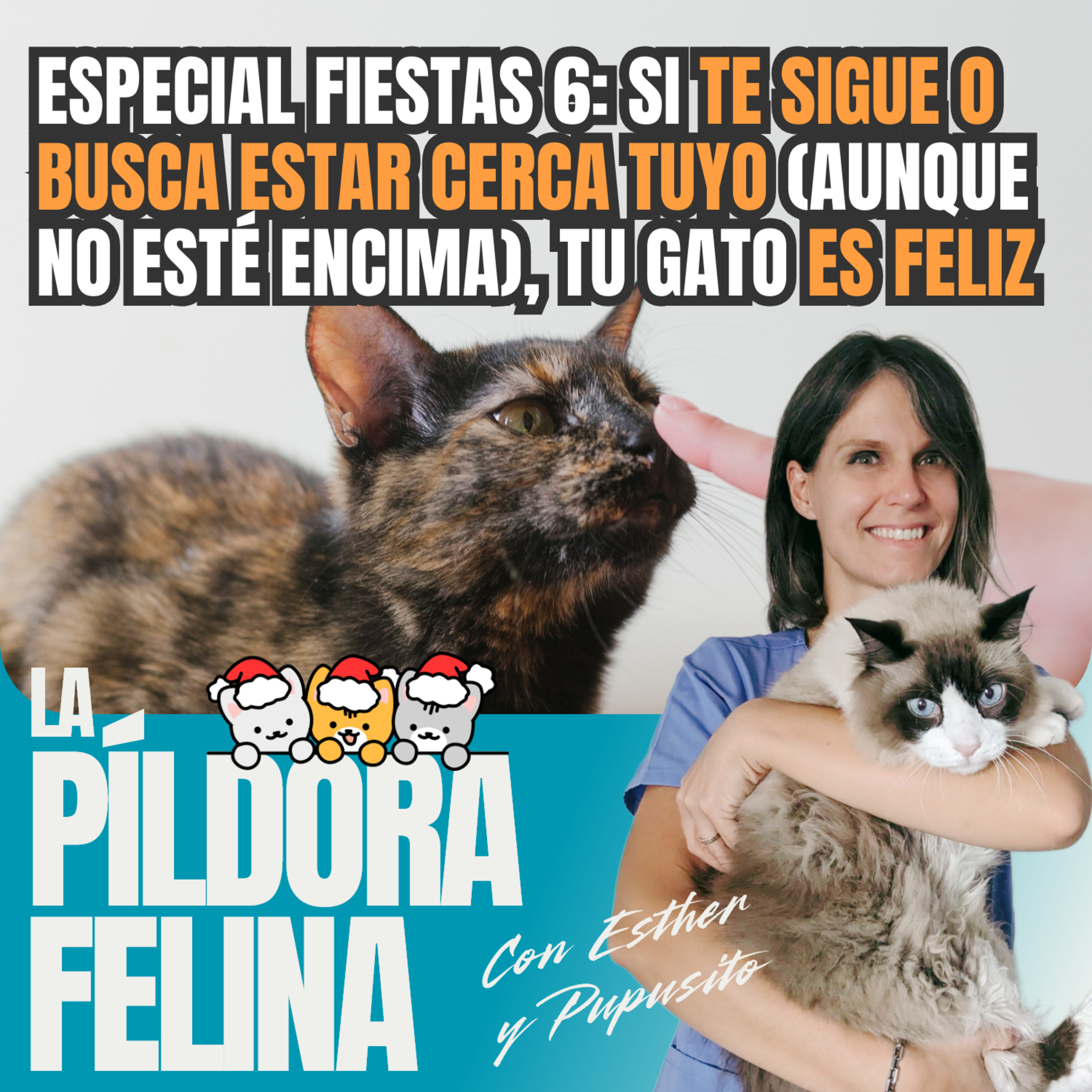 Imagen del episodio 583. Especial fiestas 6: Si te sigue o busca estar cerca tuyo (aunque no esté encima), tu gato ES FELIZ + ESPECIAL FIN DE AÑO