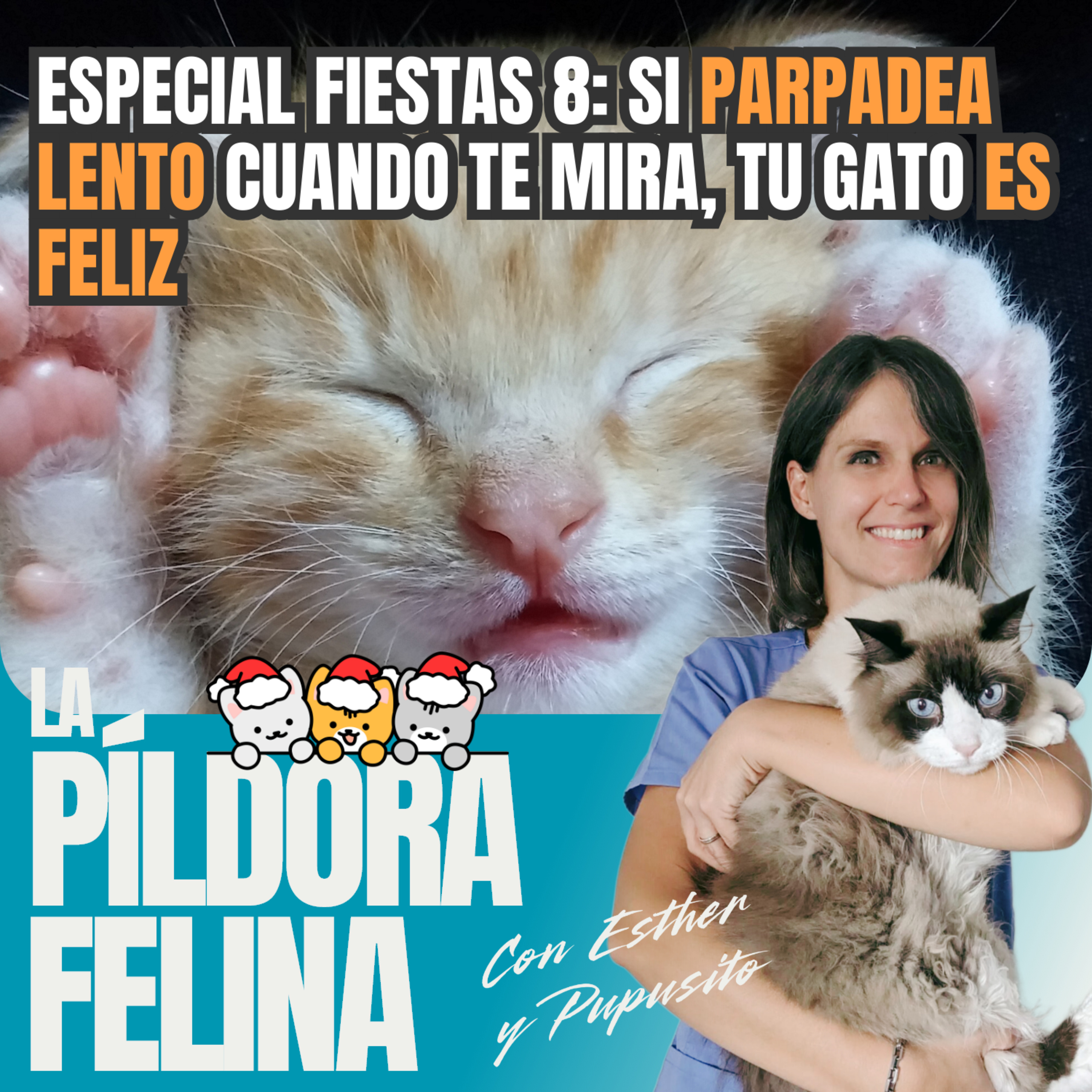 Imagen del episodio 586. Especial fiestas 8: Si PARPADEA LENTO cuando te mira, tu gato ES FELIZ