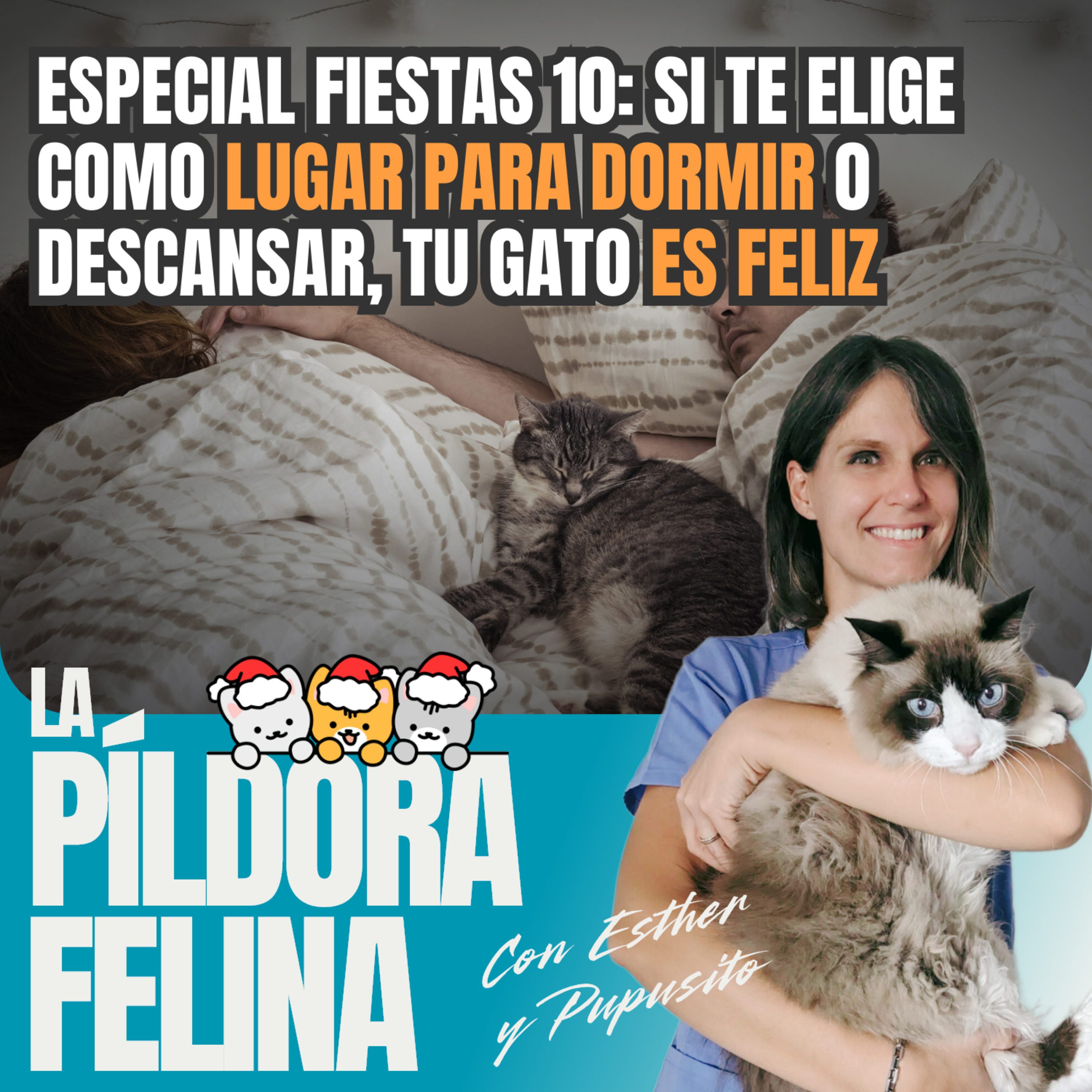 Imagen del episodio 588. Especial fiestas 10: Si te elige como LUGAR PARA DORMIR o descansar, tu gato ES FELIZ