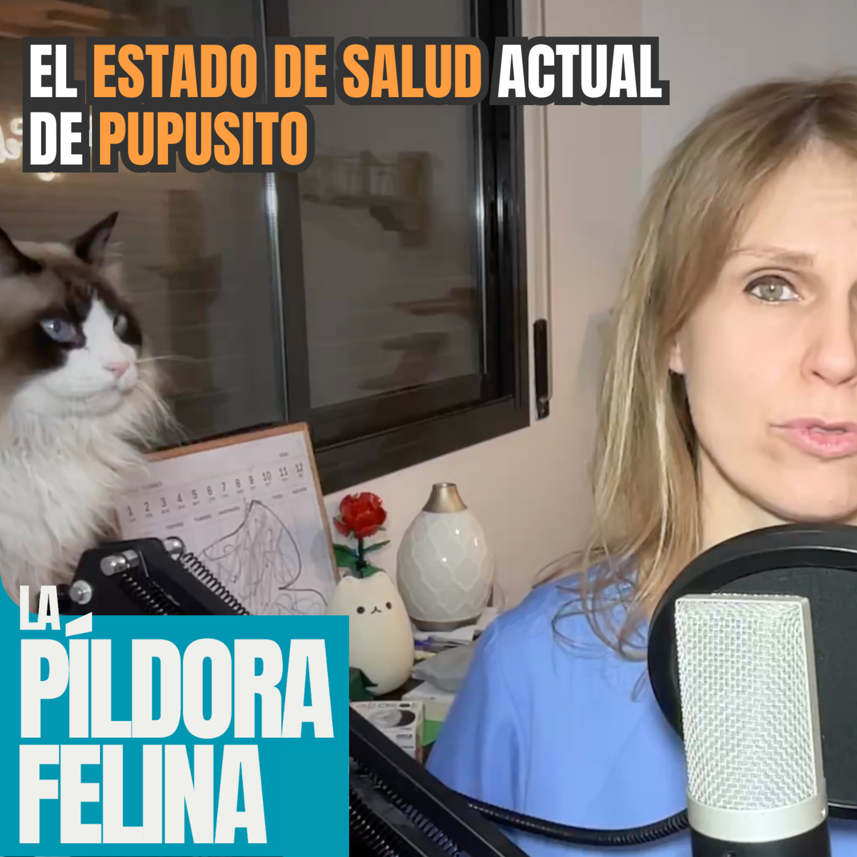 Imagen del episodio 590. El ESTADO DE SALUD actual de PUPUSITO