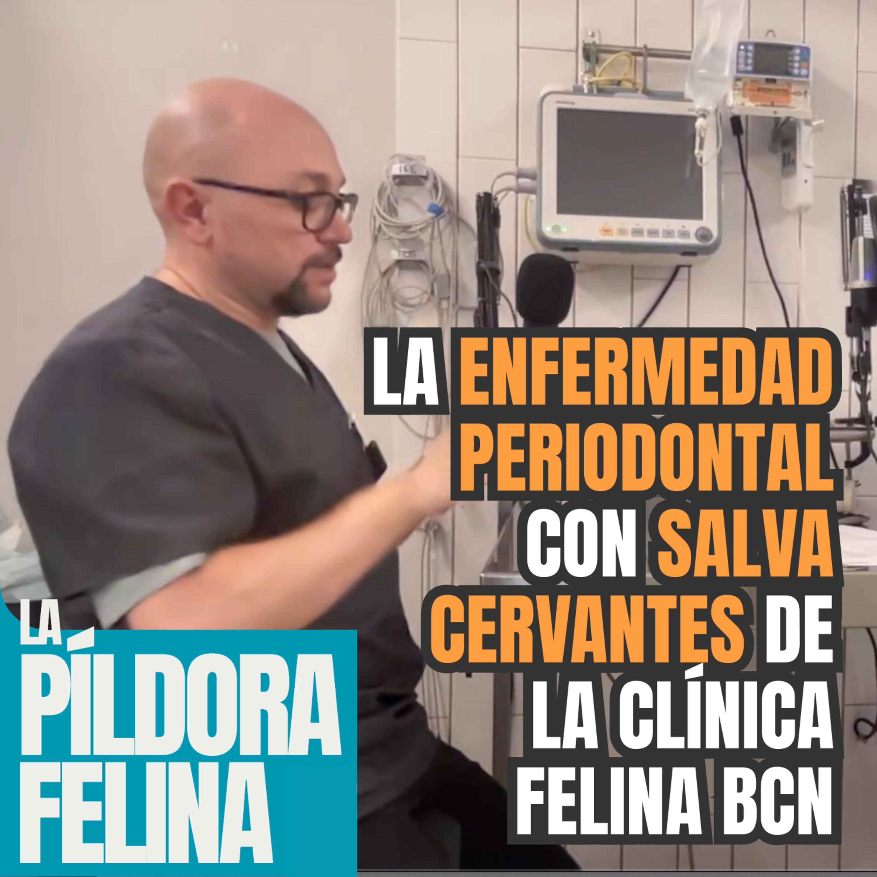 Imagen del episodio 591. La ENFERMEDAD PERIODONTAL con SALVA CERVANTES de La Clínica Felina Barcelona