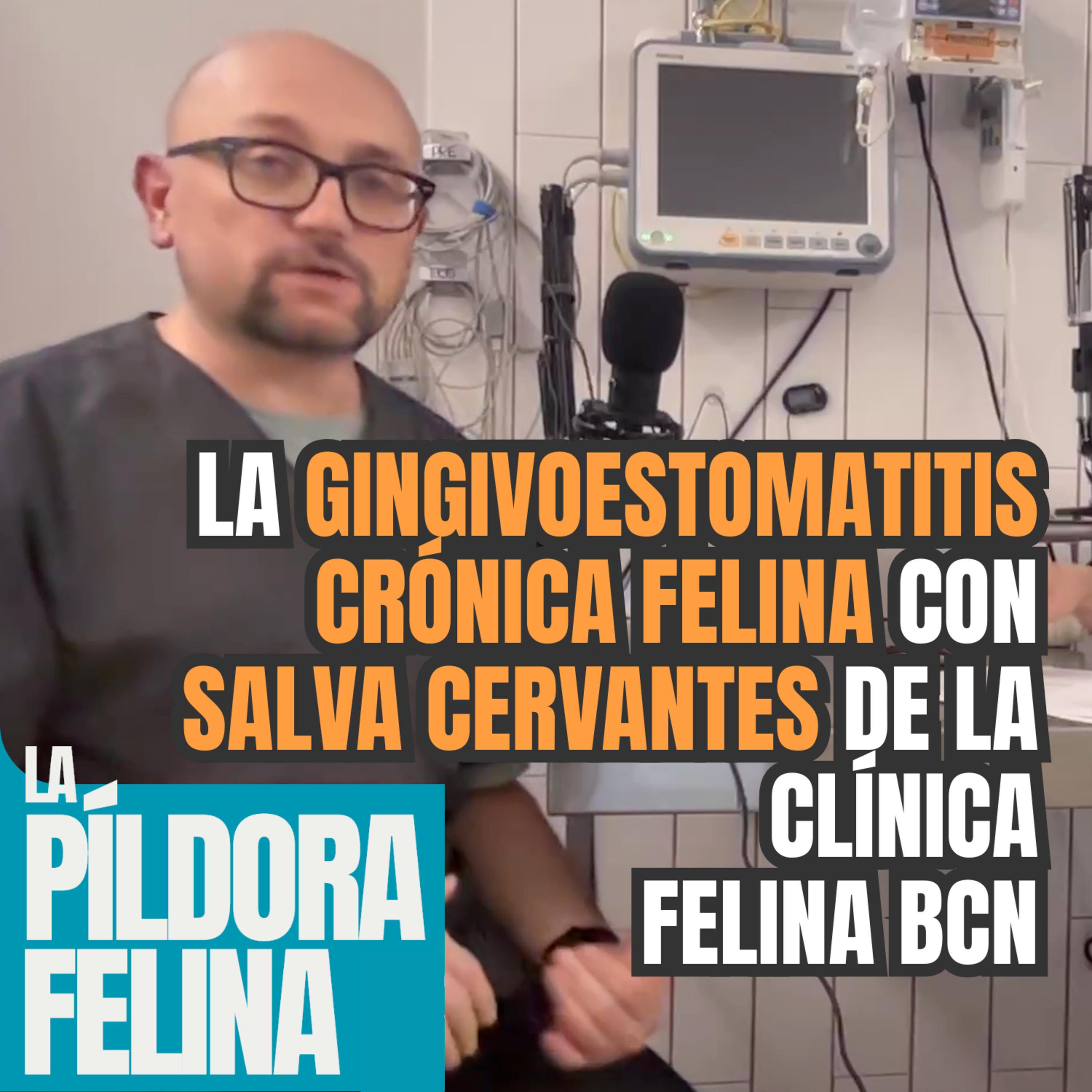 Imagen del episodio 596. La GINGIVOESTOMATITIS CRÓNICA FELINA con SALVA CERVANTES de La Clínica Felina Barcelona