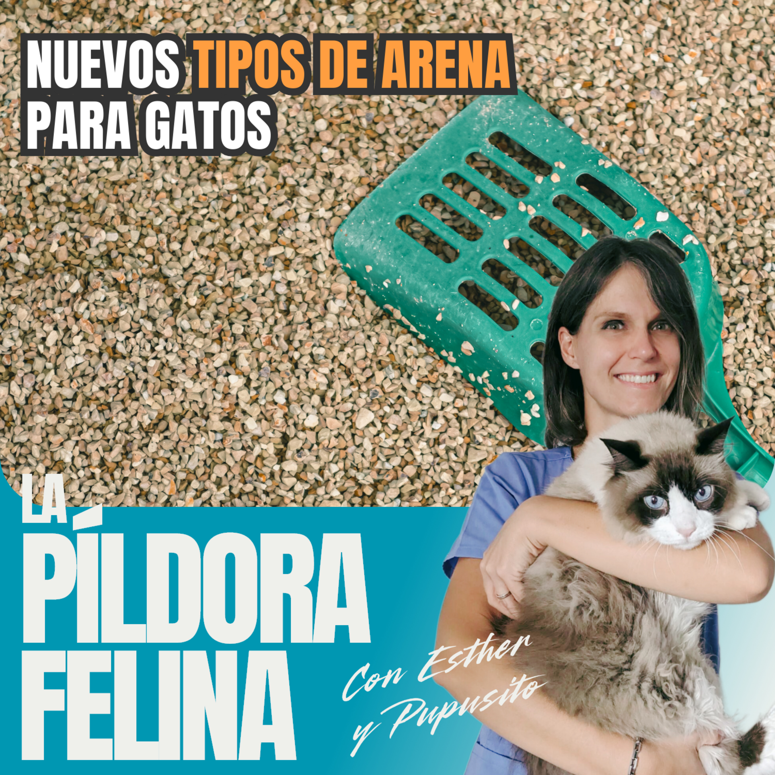 Imagen del episodio 597. Nuevos TIPOS DE ARENA para gatos