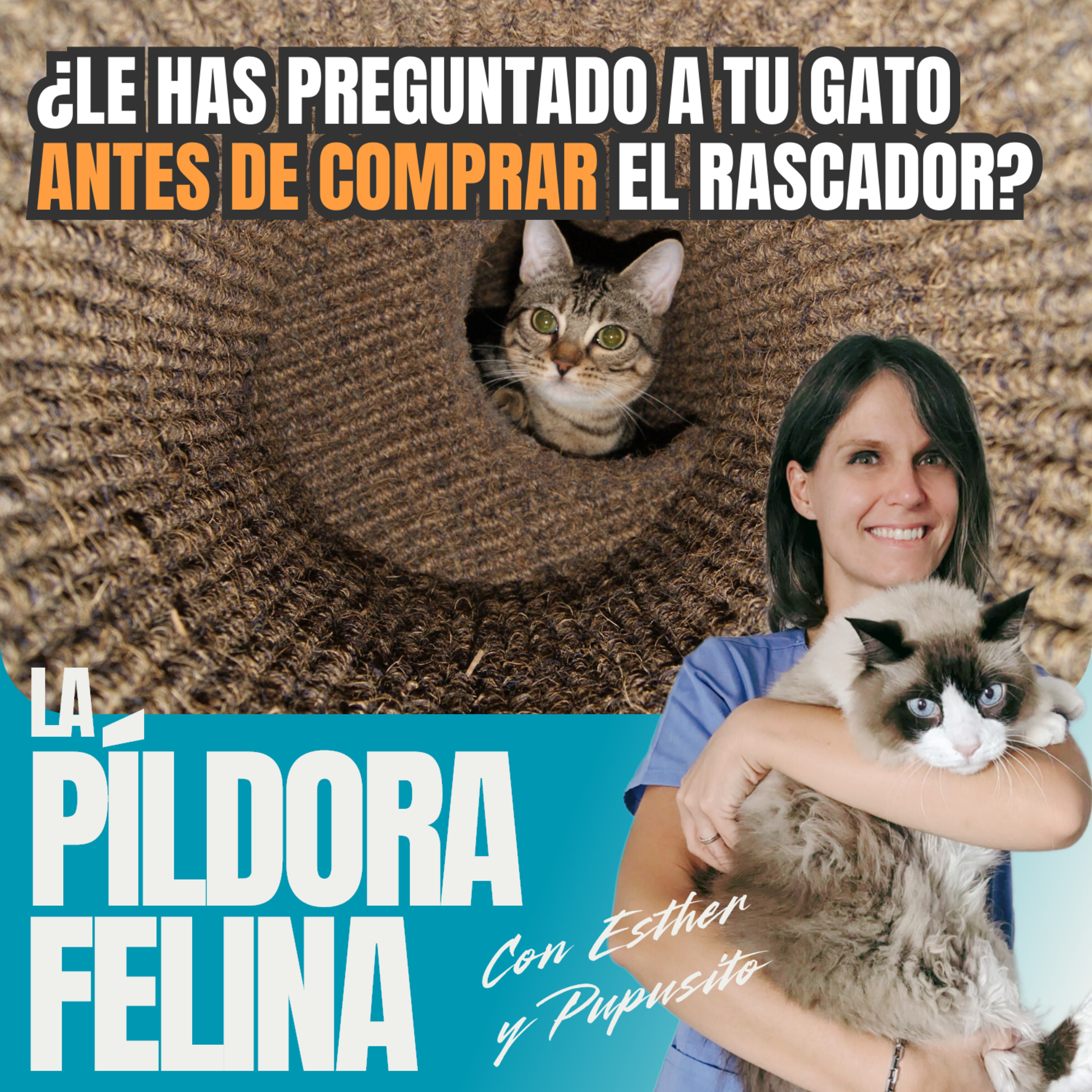 Imagen del episodio 604. ¿Le has preguntado a tu gato ANTES DE COMPRAR el rascador? 3 consejos para descubrir SUS PREFERENCIAS
