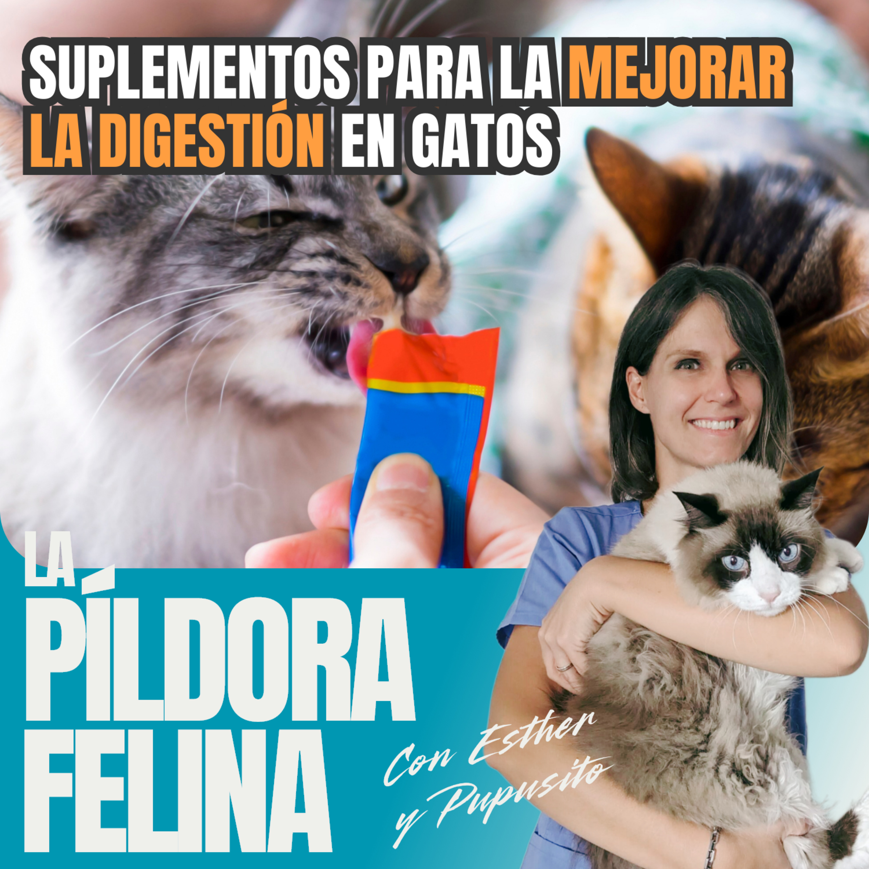 Imagen del episodio 608. Suplementos para la MEJORAR LA DIGESTIÓN en gatos