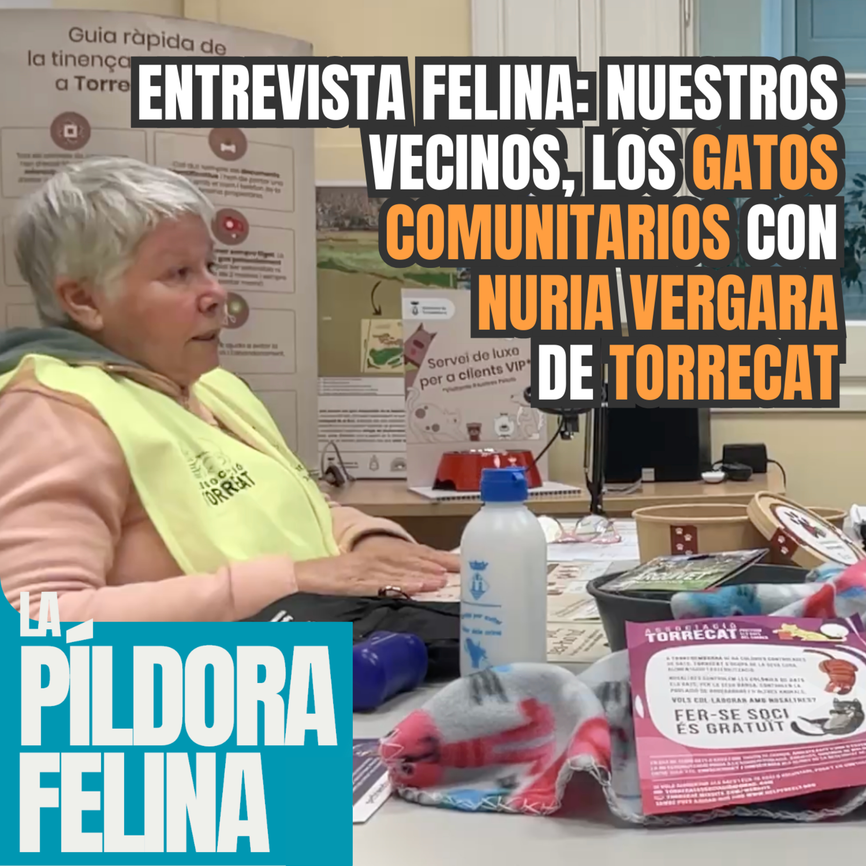 Imagen del episodio 615. Entrevista felina: Nuestros vecinos, los GATOS COMUNITARIOS con NURIA VERGARA de TORRECAT