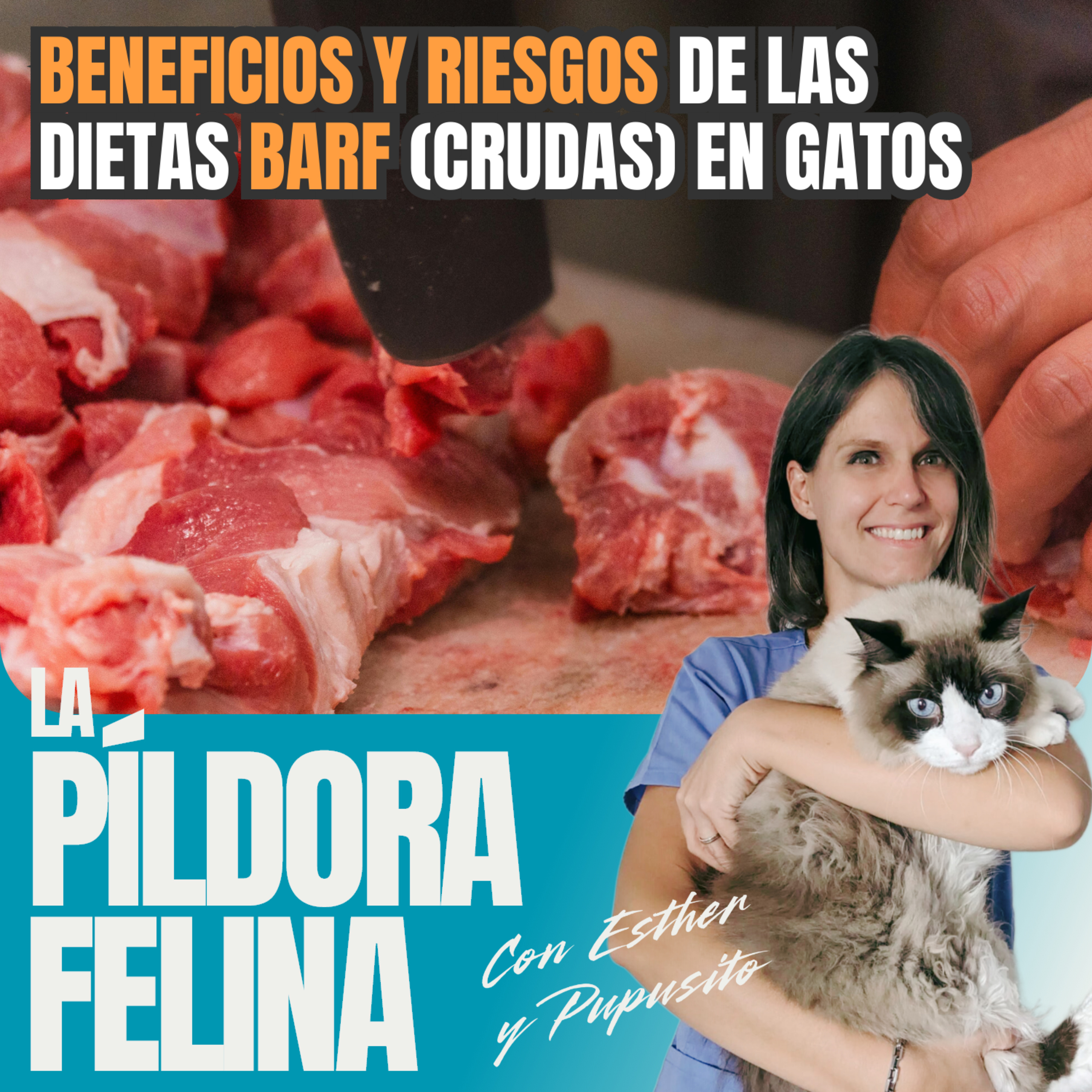 Imagen del episodio 618. BENEFICIOS Y RIESGOS de las dietas BARF (crudas) en gatos