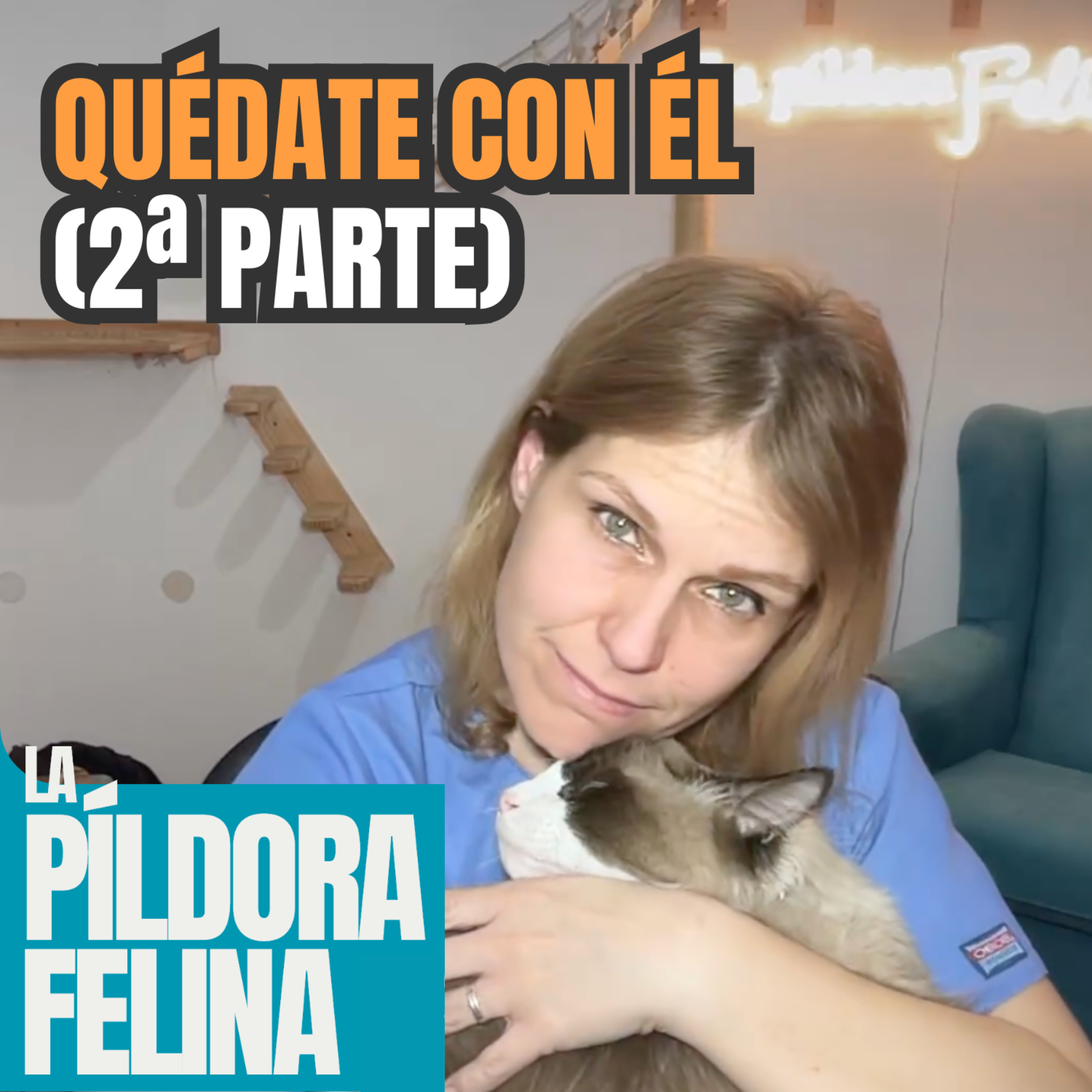 Imagen del episodio 620. Quédate con él (2ª parte)