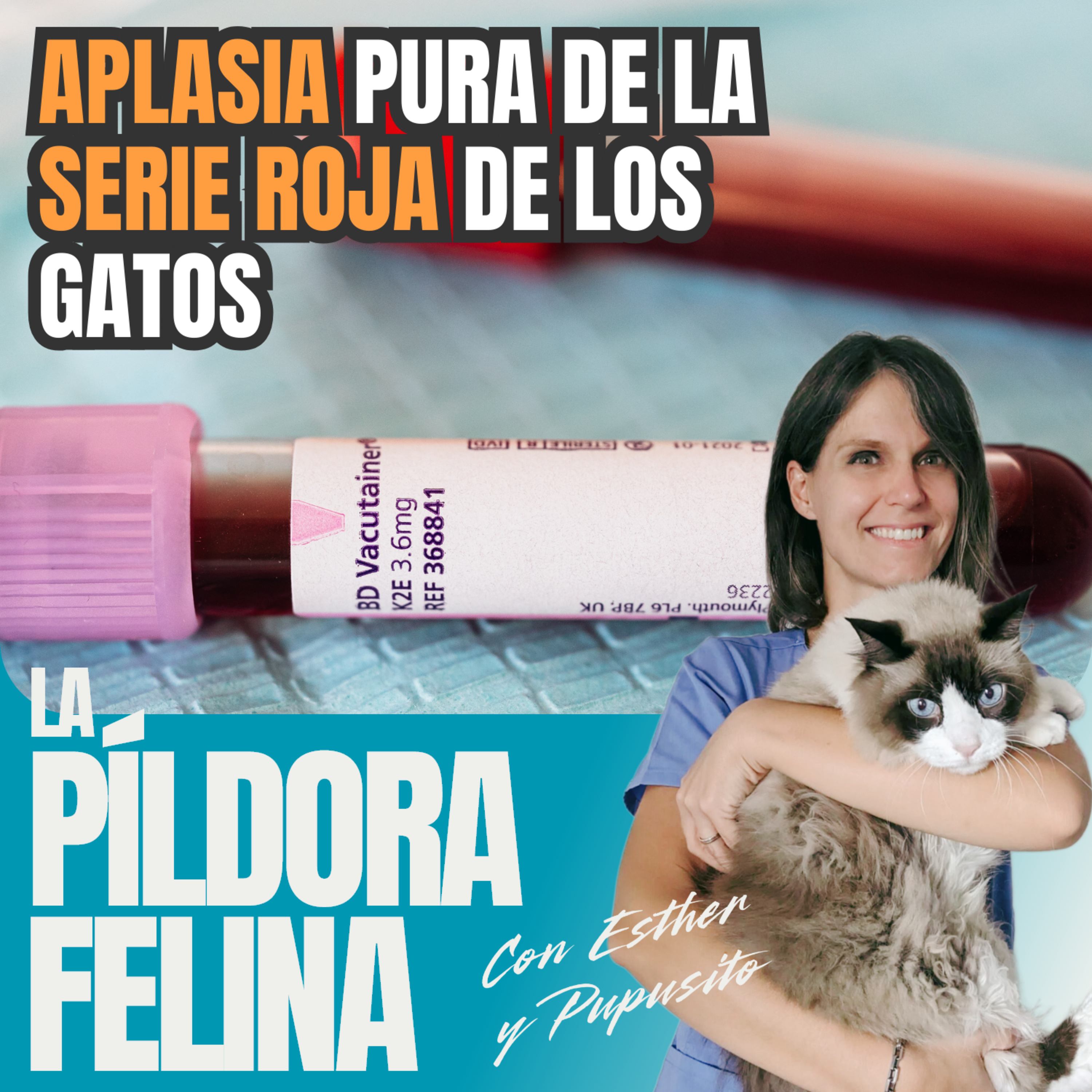 Imagen del episodio 626. APLASIA pura de la SERIE ROJA de los gatos