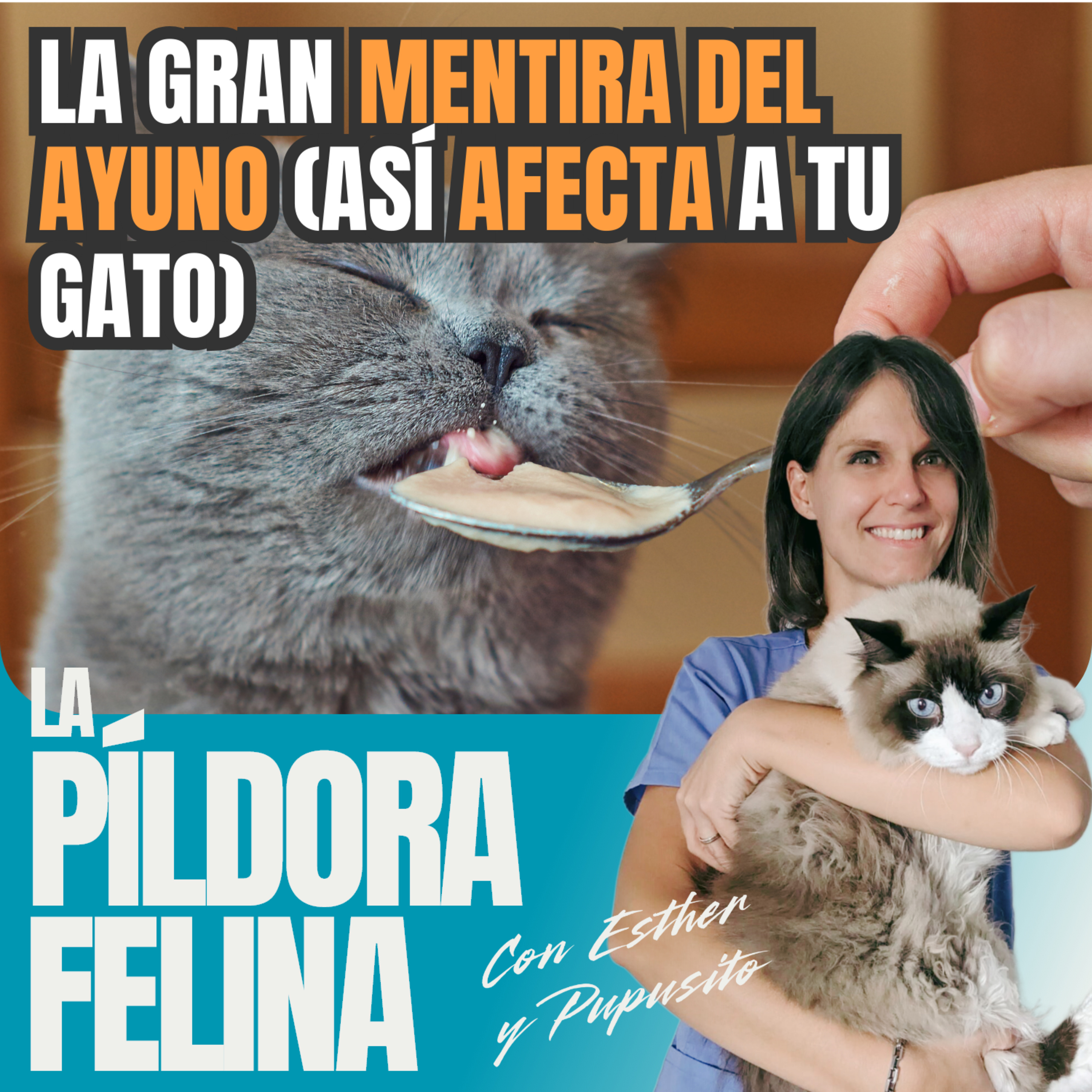 Imagen del episodio 628. La gran MENTIRA DEL AYUNO (así AFECTA a tu gato)
