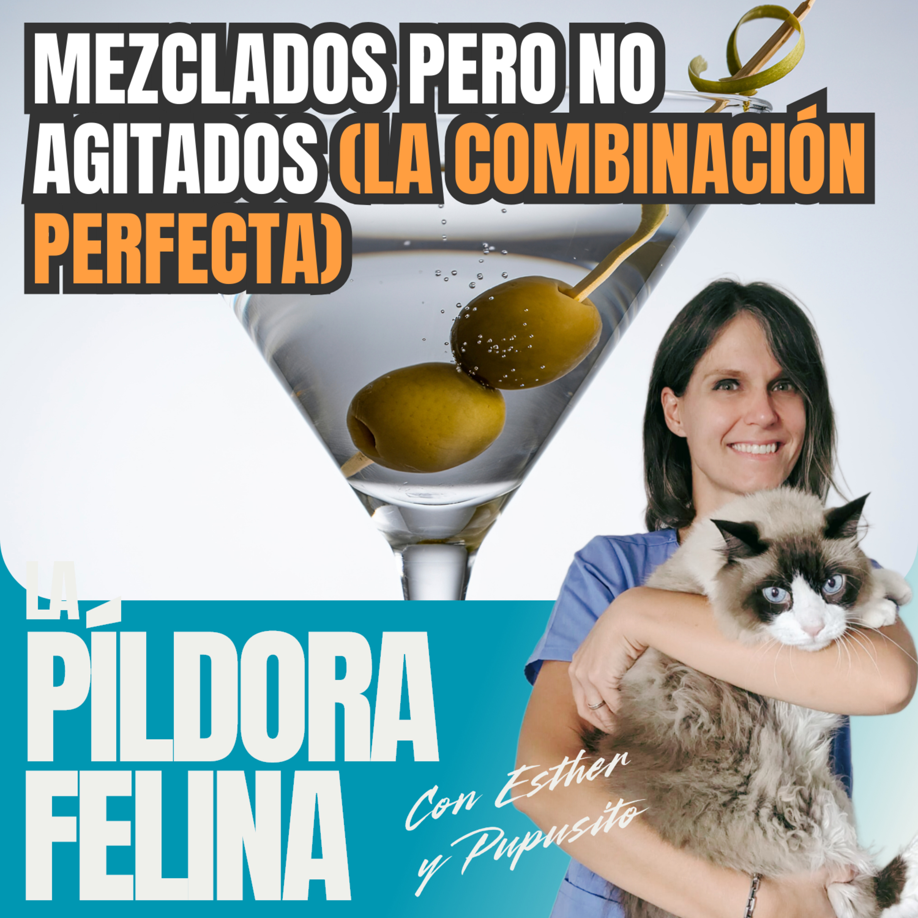 Imagen del episodio 633. Mezclados pero no agitados (la COMBINACIÓN PERFECTA)