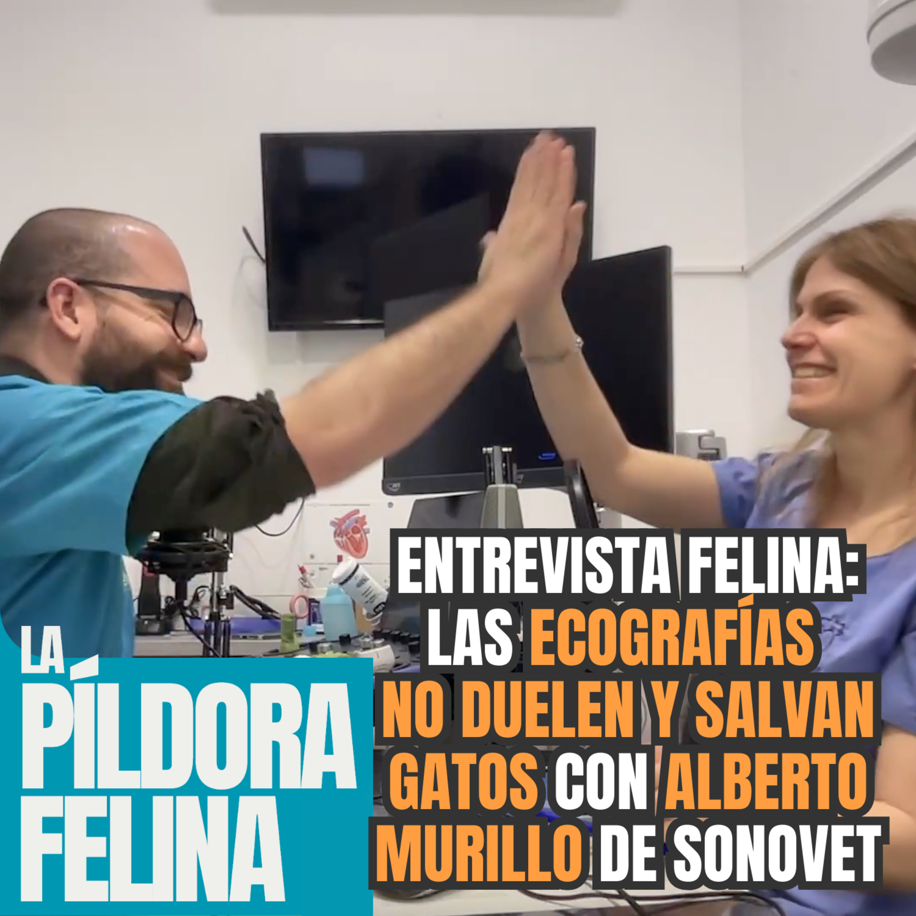Imagen del episodio 635. Entrevista Felina: Las ECOGRAFÍAS NO DUELEN Y SALVAN GATOS con ALBERTO MURILLO de Sonovet