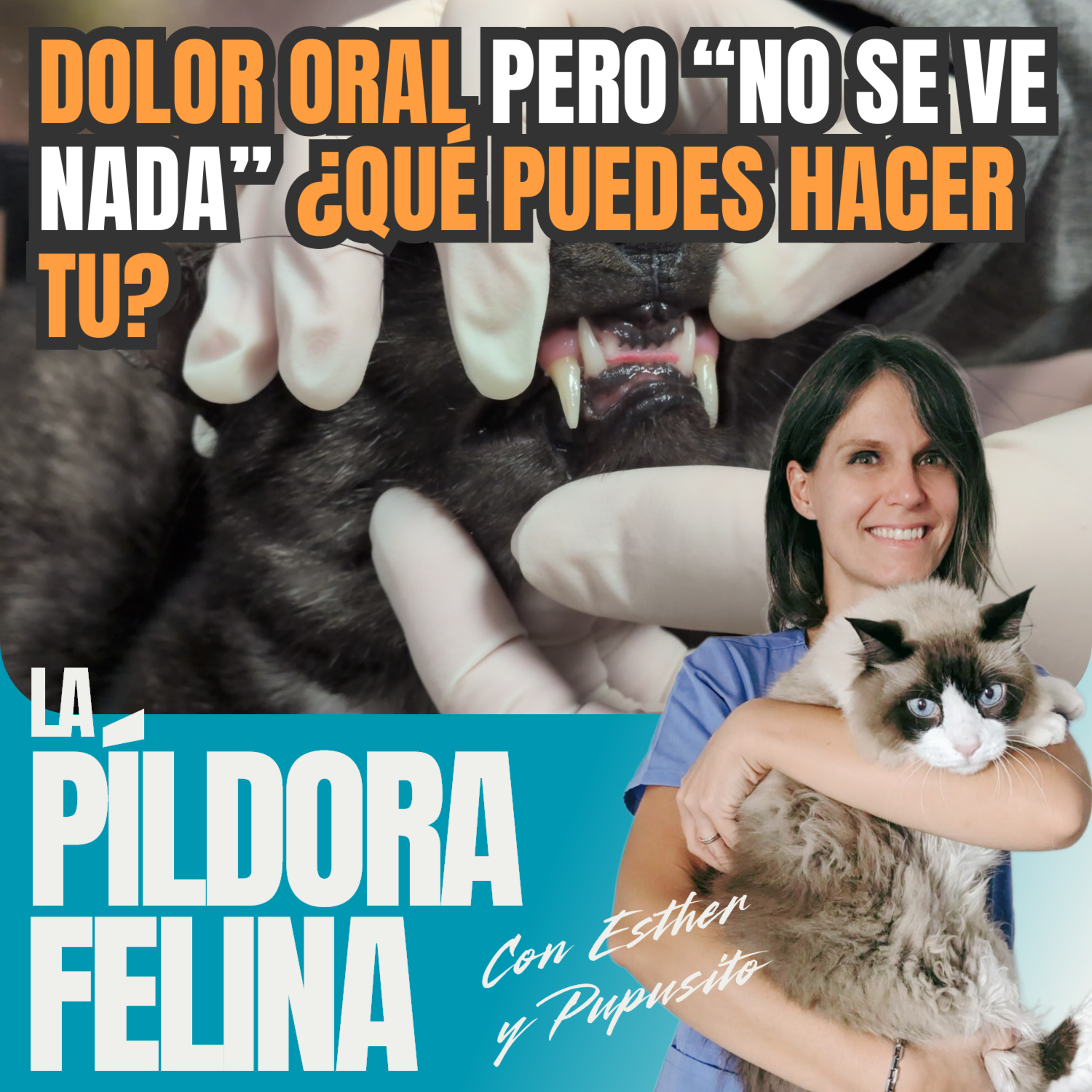 Imagen del episodio 641. DOLOR ORAL pero “no se ve nada” ¿QUÉ PUEDES HACER TU?