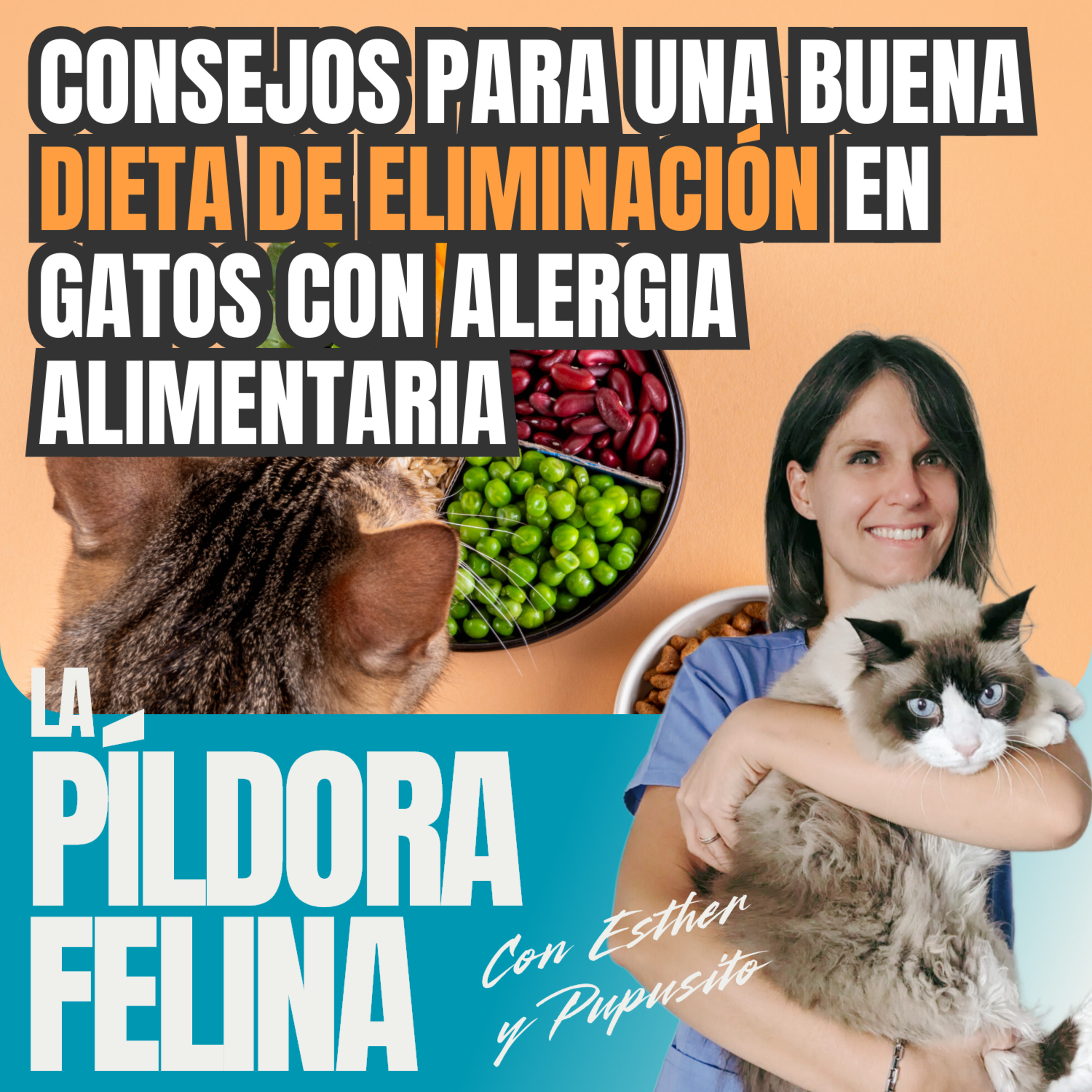 Imagen del episodio 643. Consejos para una buena DIETA DE ELIMINACIÓN en gatos con alergia alimentaria 