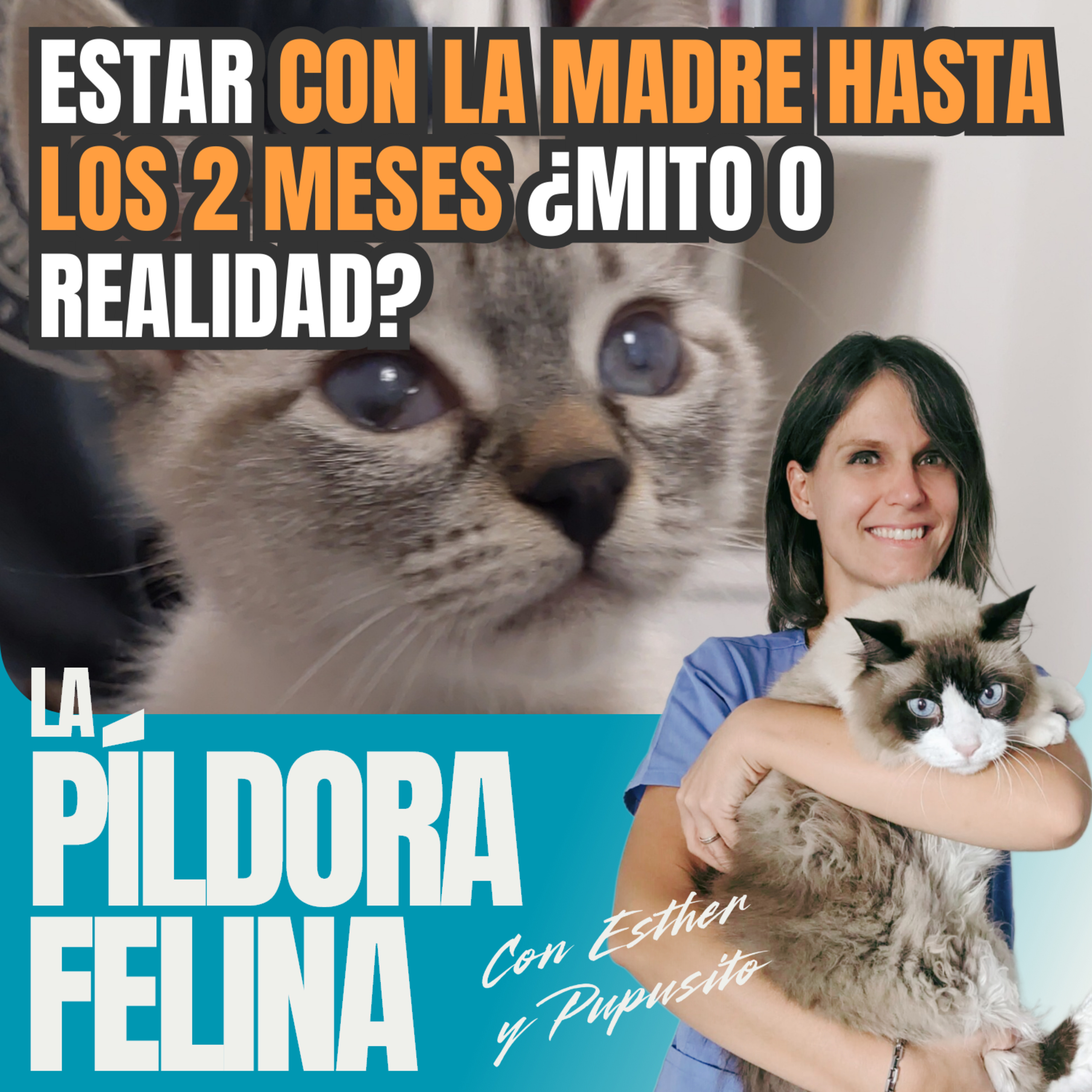 Imagen del episodio 644. Estar CON LA MADRE HASTA LOS 2 MESES ¿Mito o realidad?