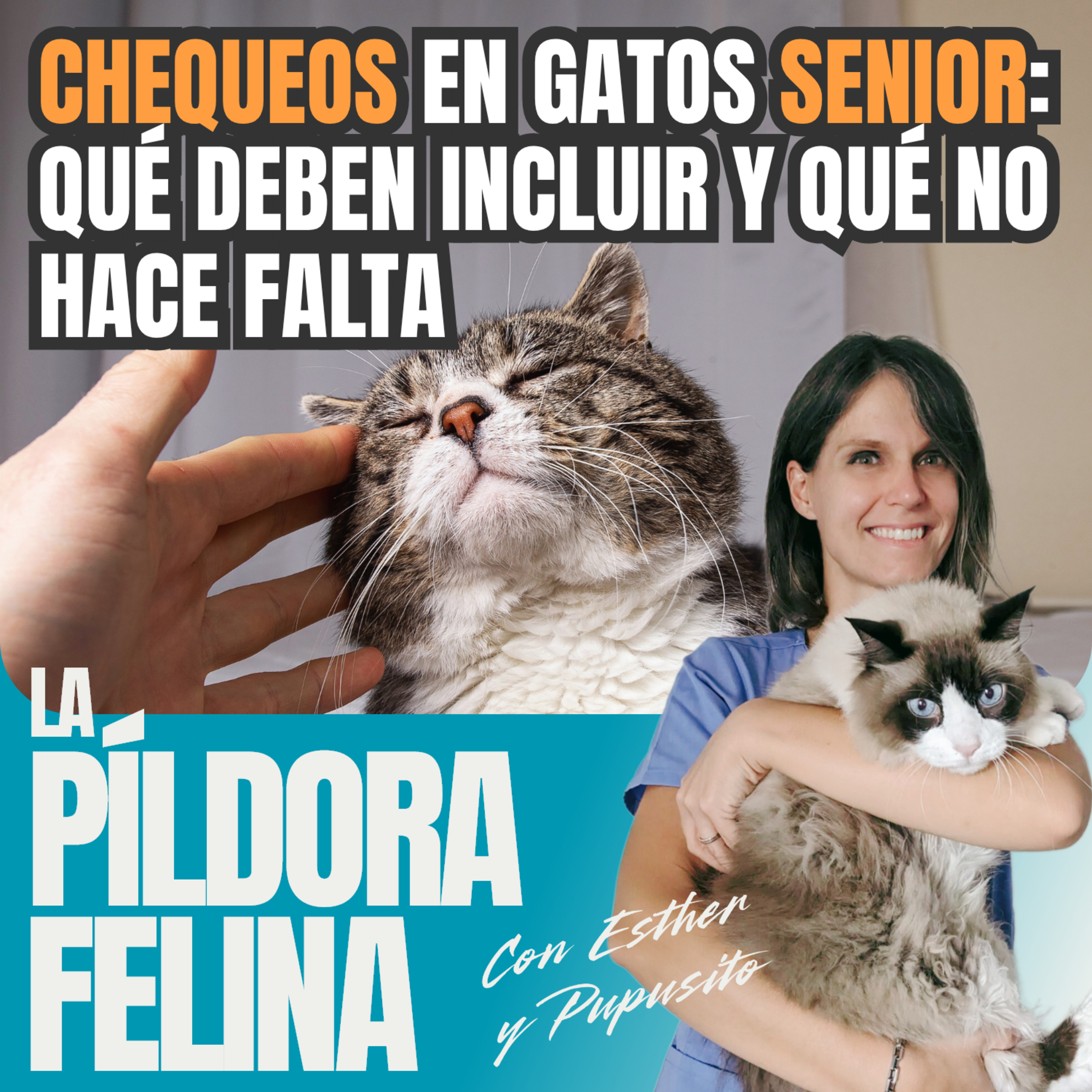 Imagen del episodio 647. CHEQUEOS en gatos SENIOR: qué deben incluir y qué no hace falta