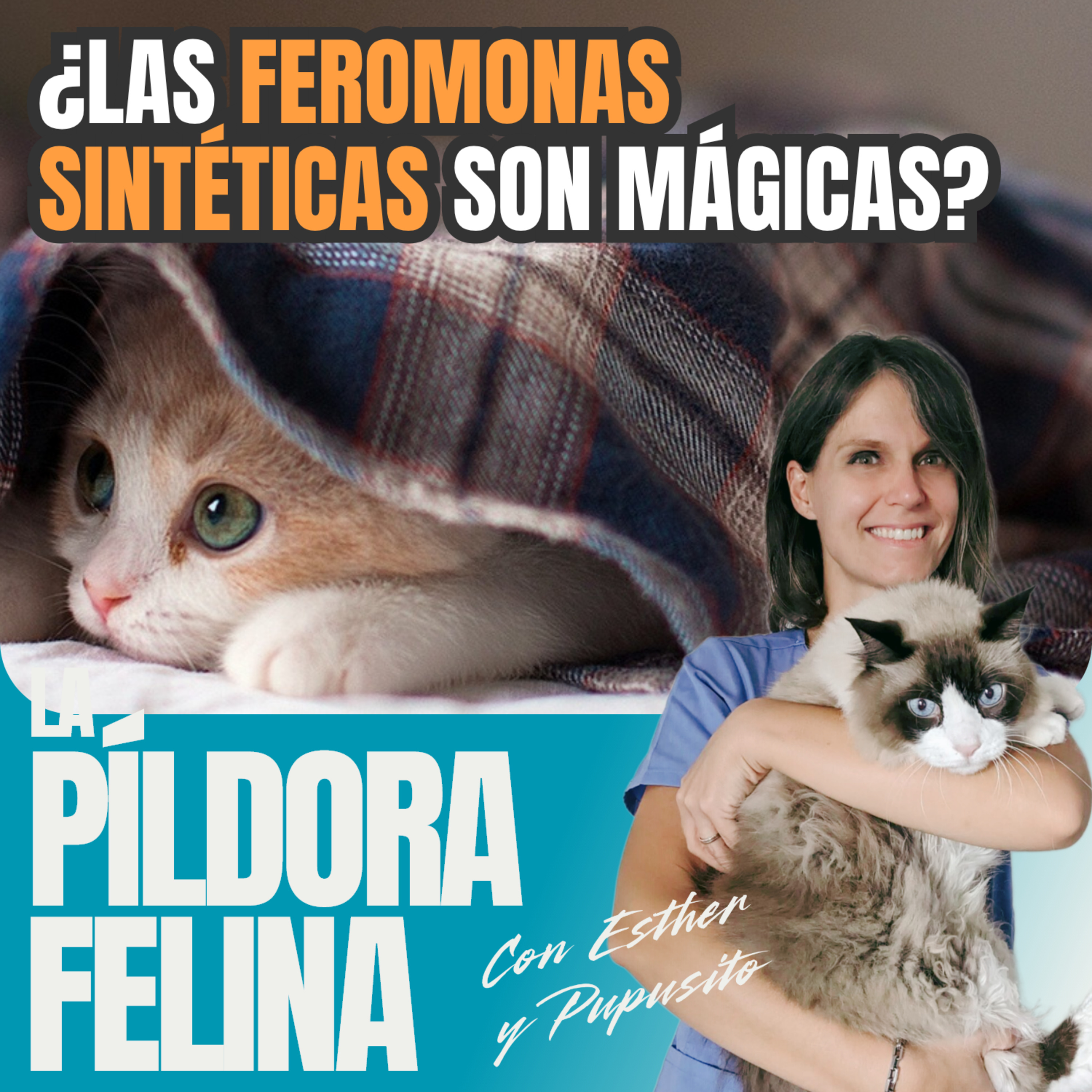 Imagen del episodio 649. ¿Las FEROMONAS SINTÉTICAS son mágicas