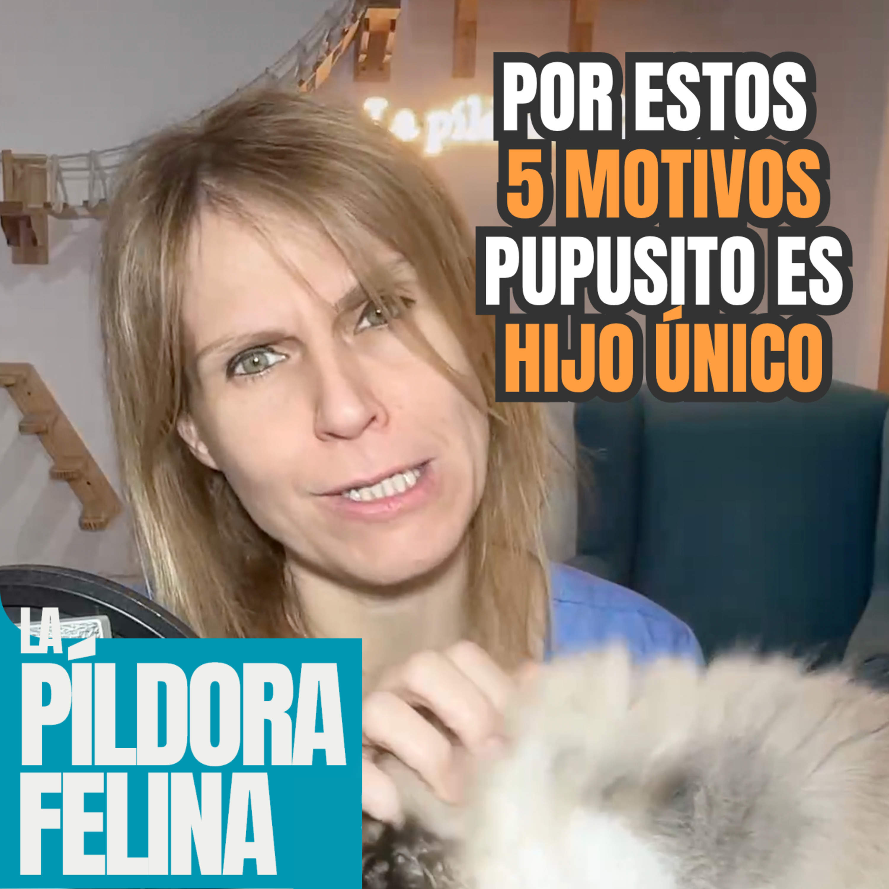 Imagen del episodio 650. Por estos 5 MOTIVOS Pupusito es HIJO ÚNICO