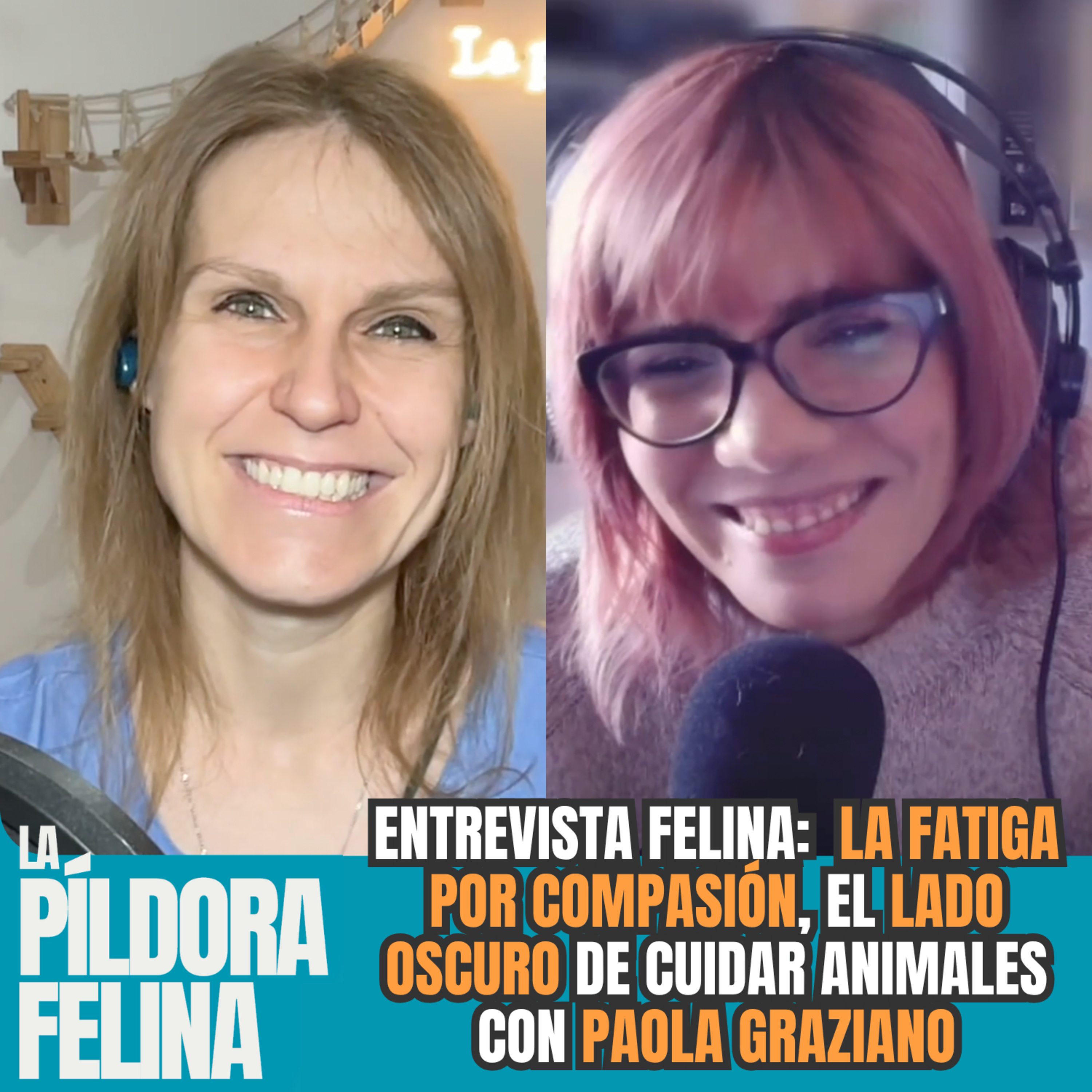 Imagen del episodio 655. Entrevista Felina: la FATIGA POR COMPASIÓN, el LADO OSCURO de cuidar animales con PAOLA GRAZIANO de Bienquererme