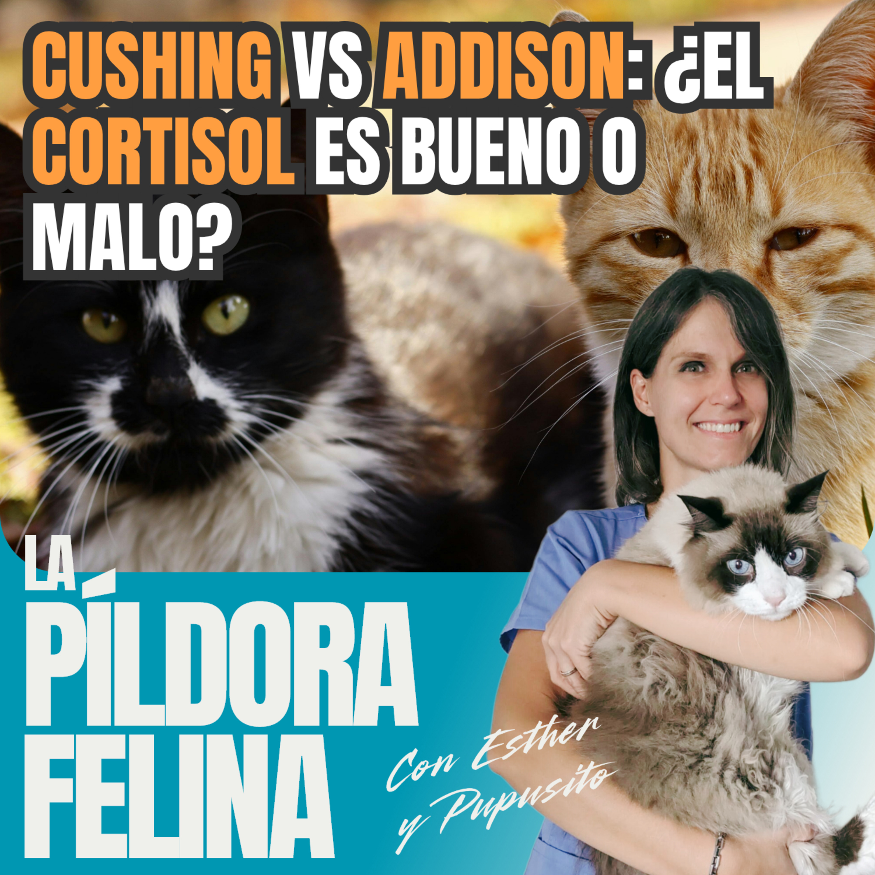 Imagen del episodio 656. CUSHING vs ADDISON: ¿el CORTISOL es bueno o malo?