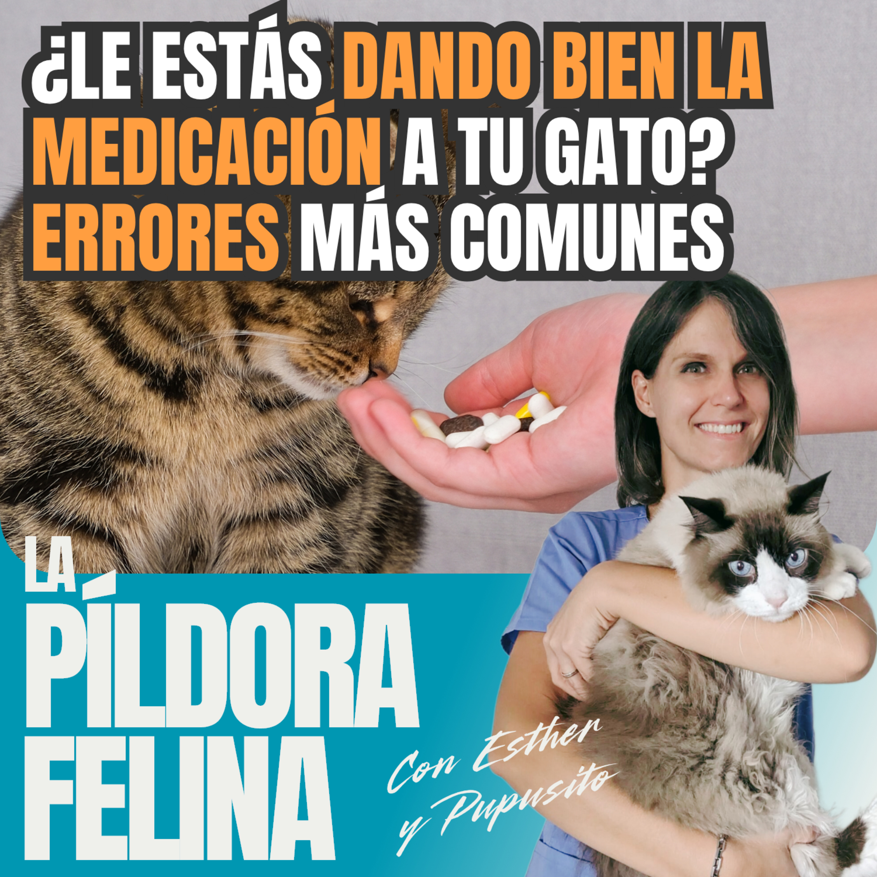 Imagen del episodio 657. ¿Le estás DANDO BIEN LA MEDICACIÓN a tu gato? ERRORES más comunes