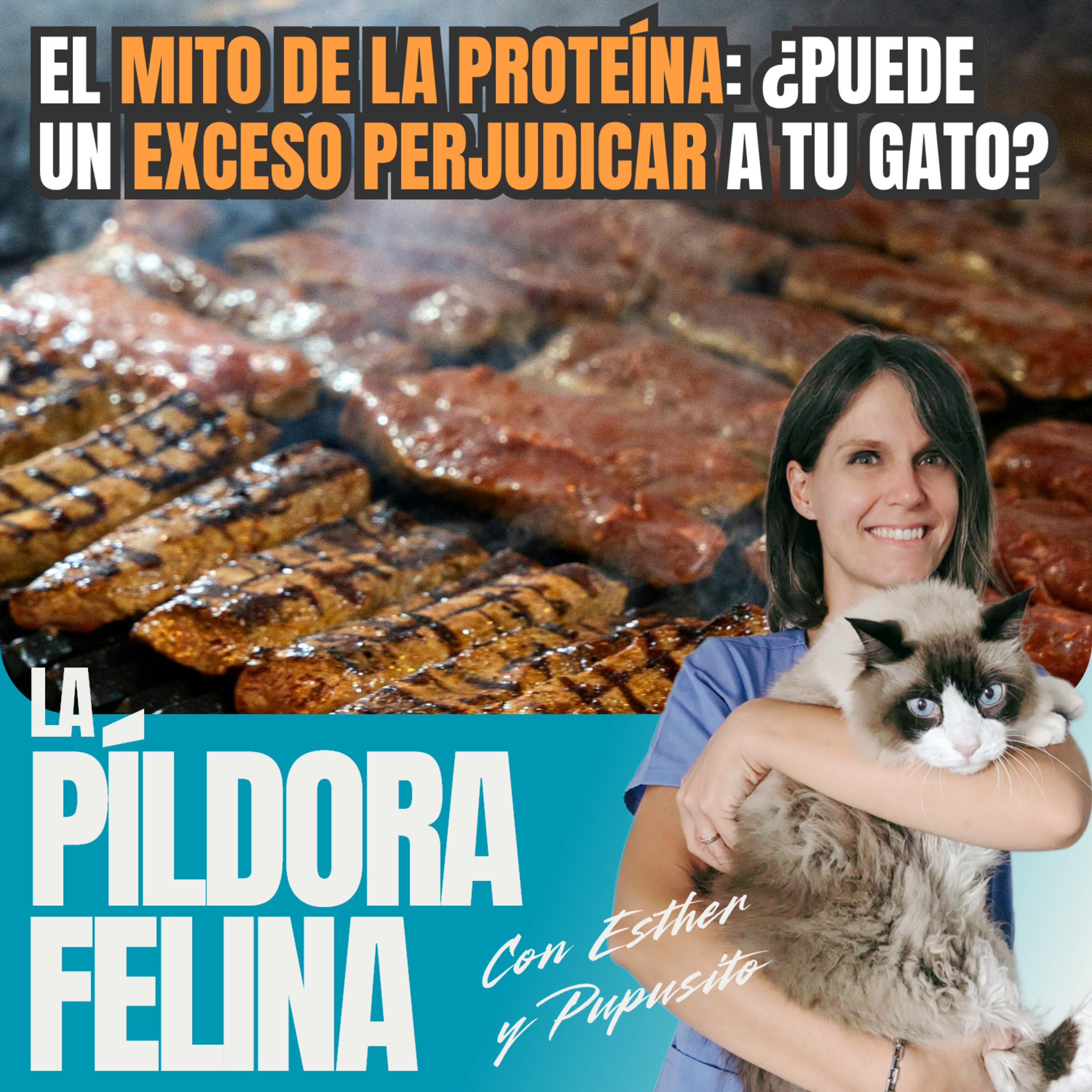 Imagen del episodio 658. El MITO DE LA PROTEÍNA: ¿puede un EXCESO PERJUDICAR a tu gato?