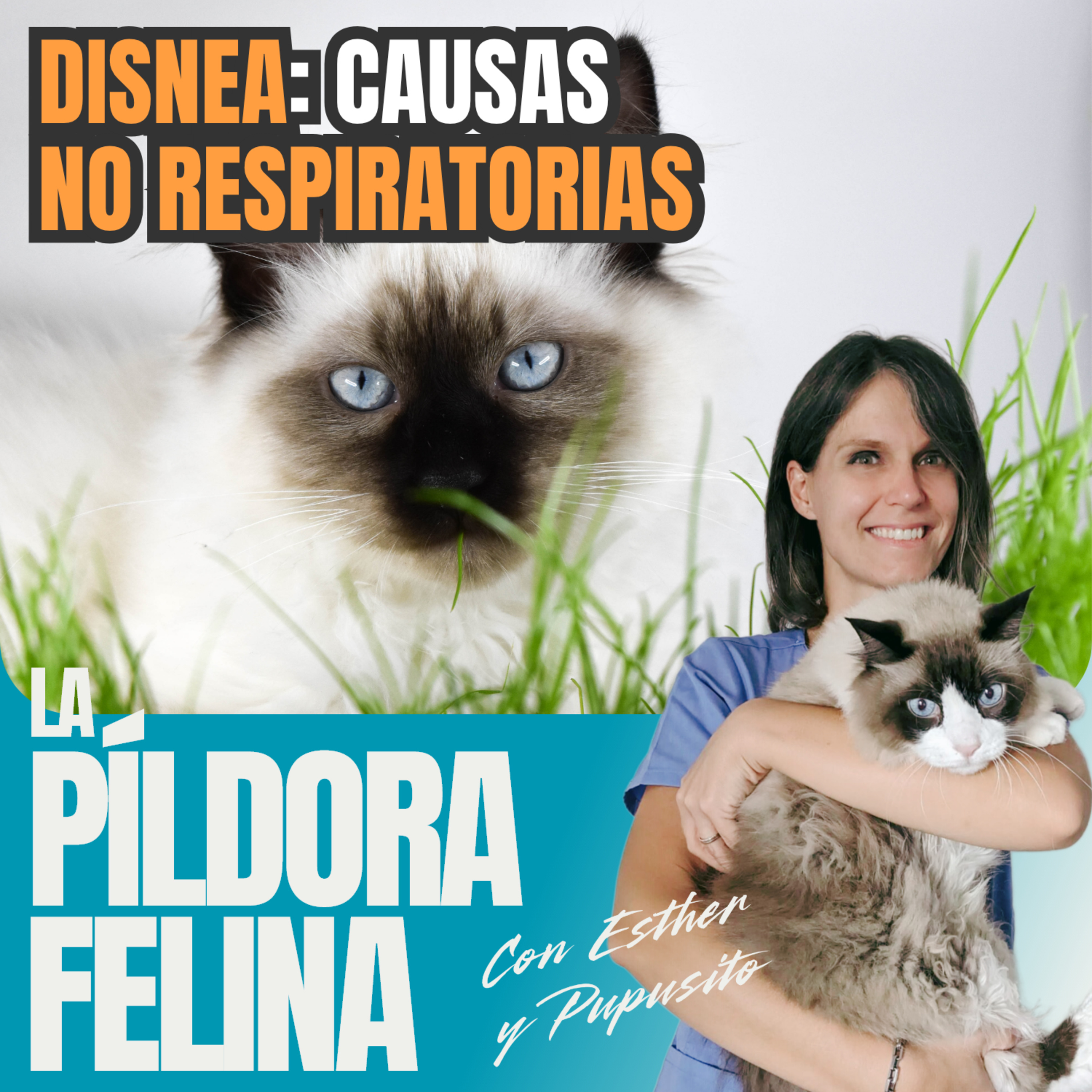 Imagen del episodio 661. DISNEA: causas NO RESPIRATORIAS