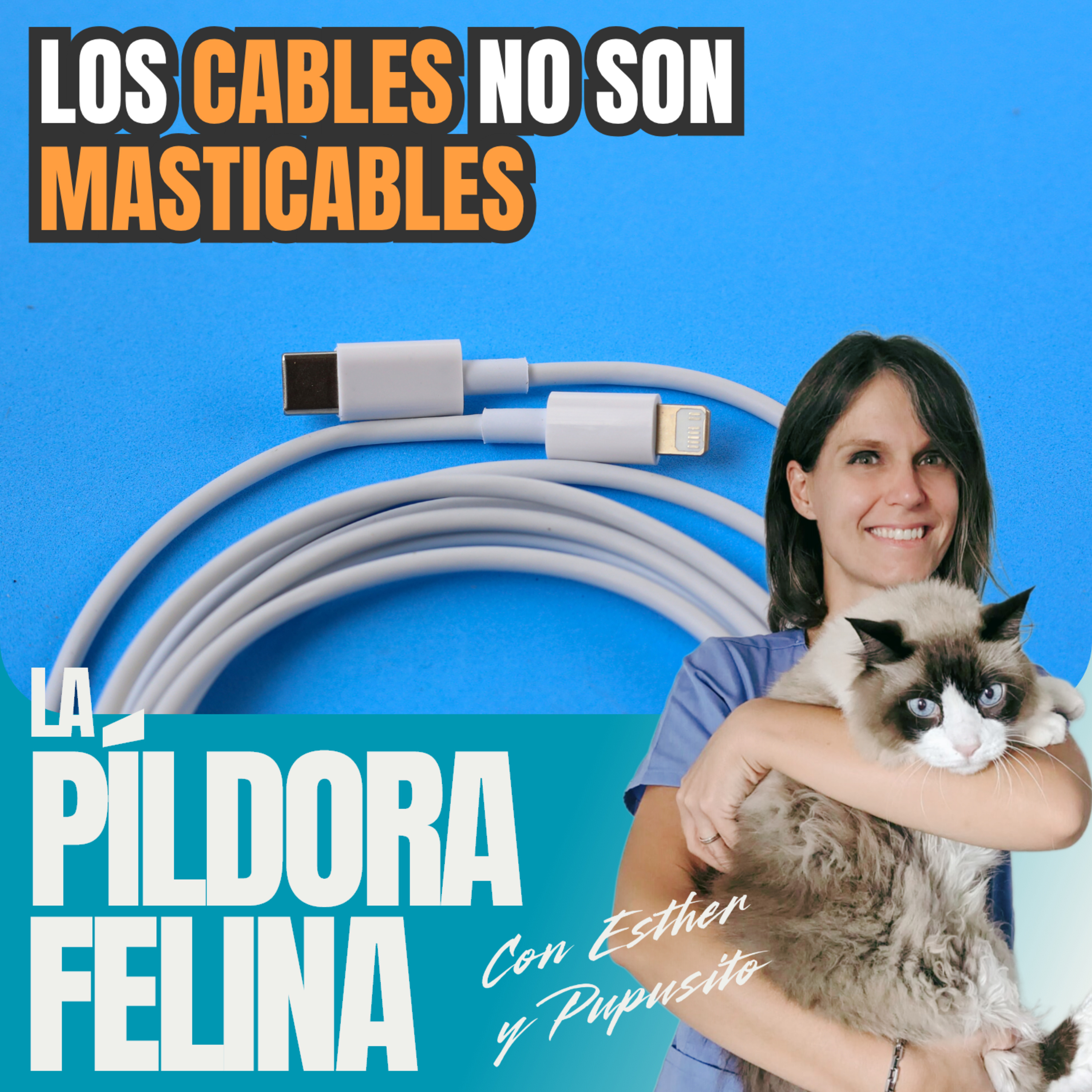 Imagen del episodio 662. Los CABLES no son mastiCABLES