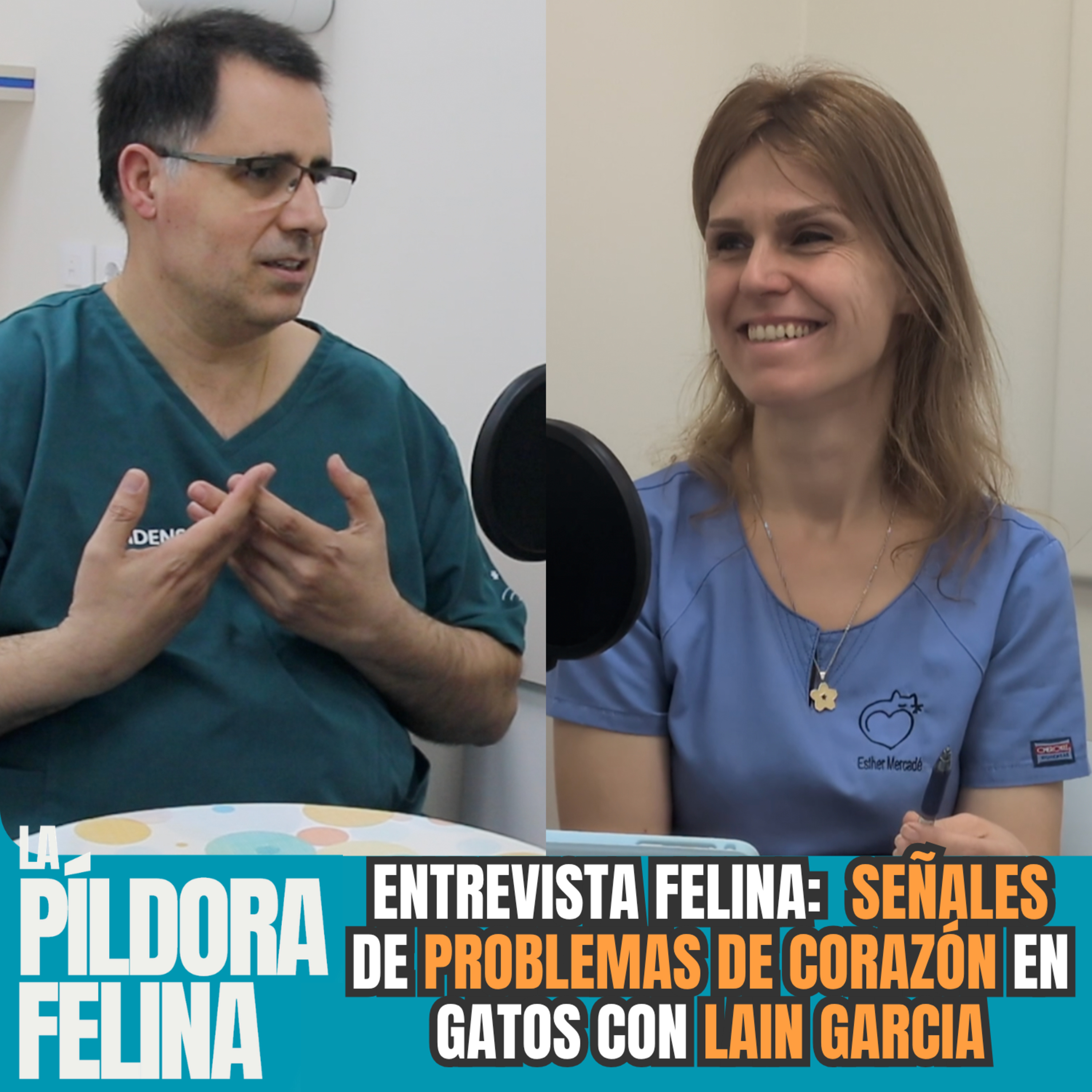 Imagen del episodio 665. Entrevista Felina: Las SEÑALES de PROBLEMAS DE CORAZÓN en gatos con LAIN GARCIA del Hospital Veterinari Molins