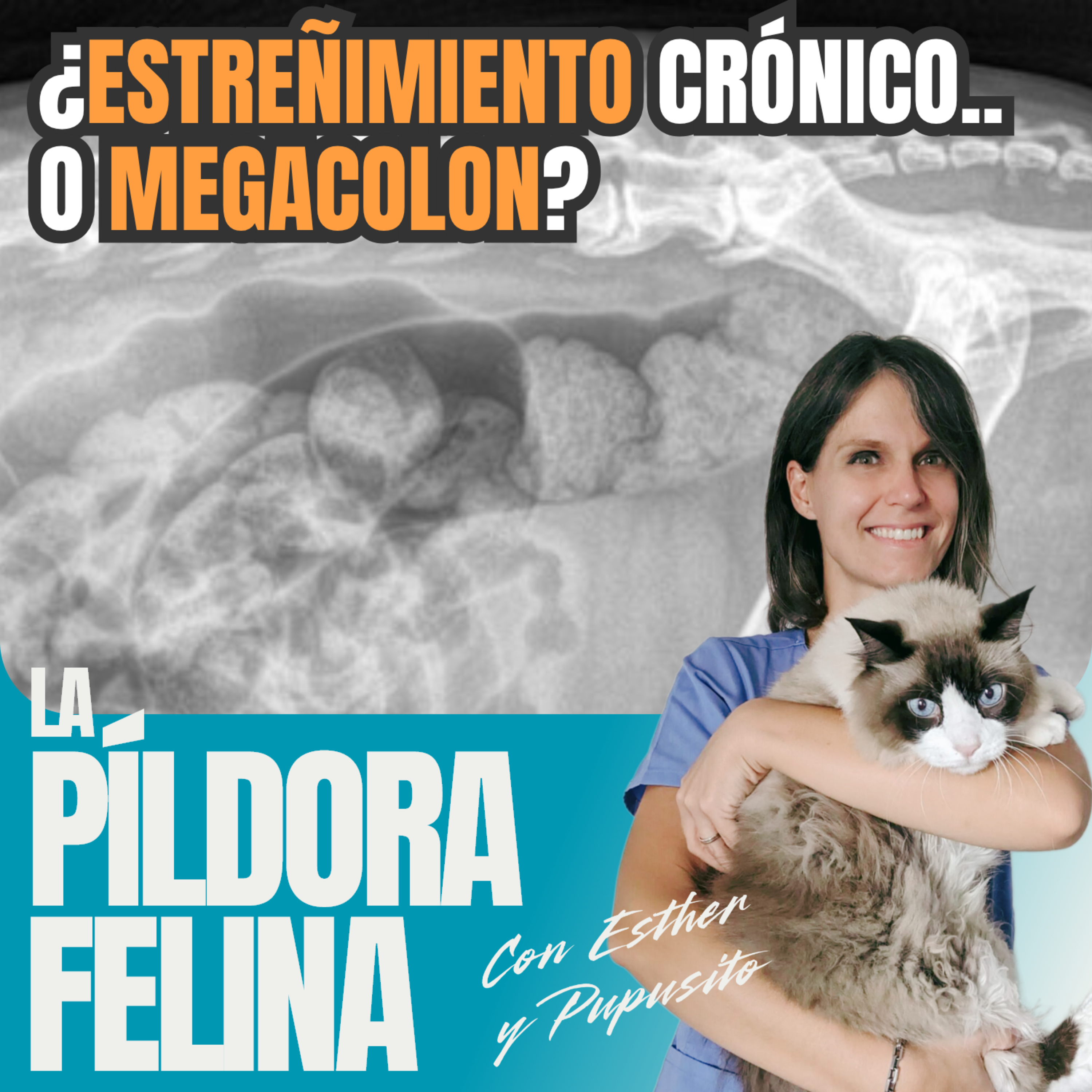 Imagen del episodio 666. ¿ESTREÑIMIENTO crónico.. o MEGACOLON?