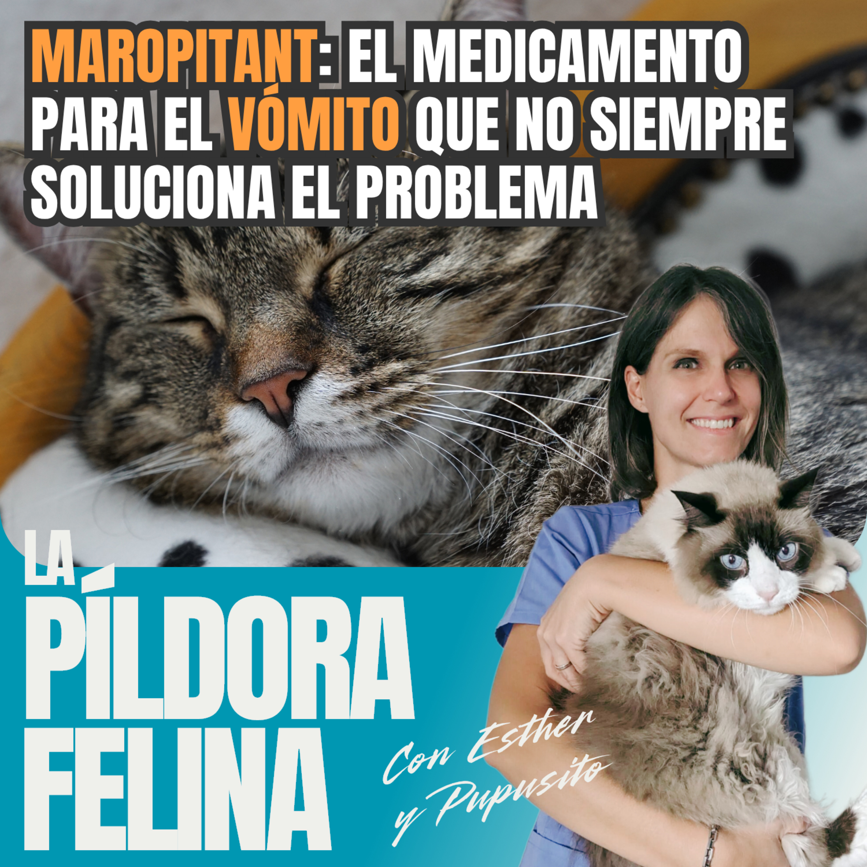 Imagen del episodio 667. MAROPITANT: El medicamento para el VÓMITO que no siempre soluciona el problema