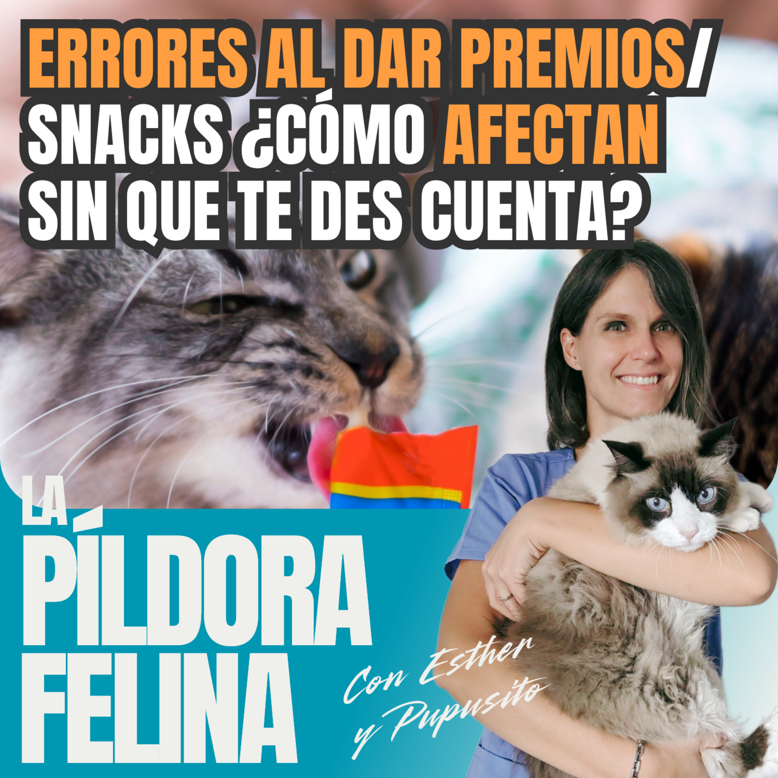 Imagen del episodio 668. ERRORES AL DAR PREMIOS/snacks ¿Cómo AFECTAN sin que te des cuenta?